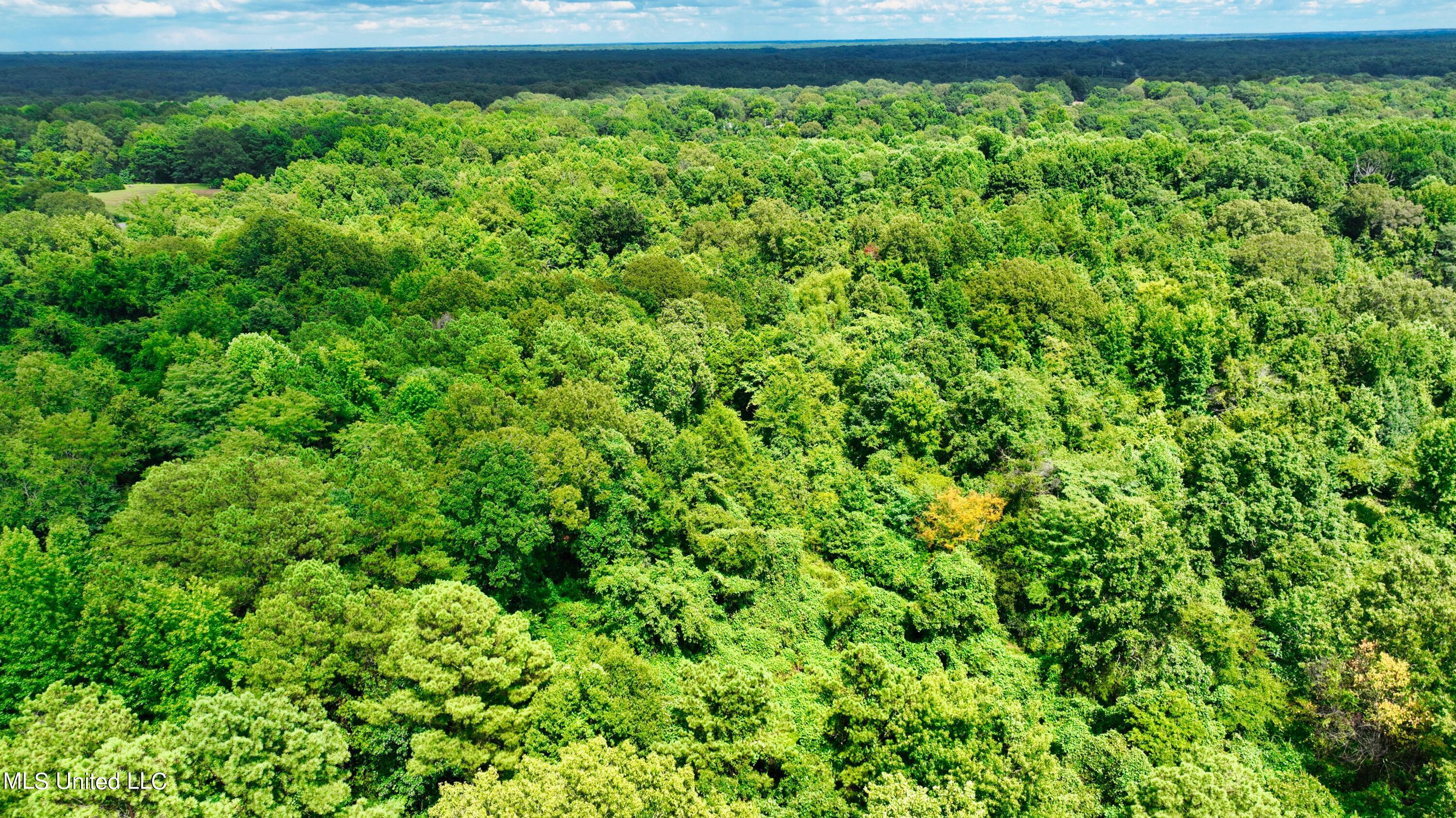 3900 Holly Grove Road Como, MS 38619 - Photo 35 of 61 DJI_0051