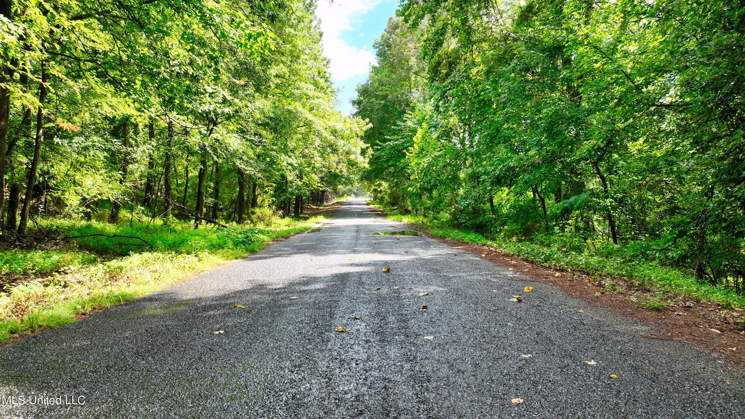 3900 Holly Grove Road Como, MS 38619 - Photo 36 of 61 DJI_0052