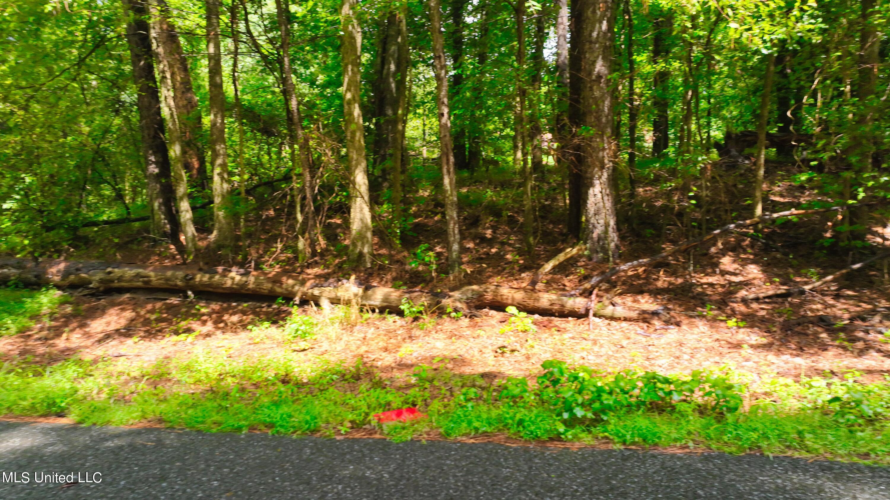 3900 Holly Grove Road Como, MS 38619 - Photo 38 of 61 DJI_0054