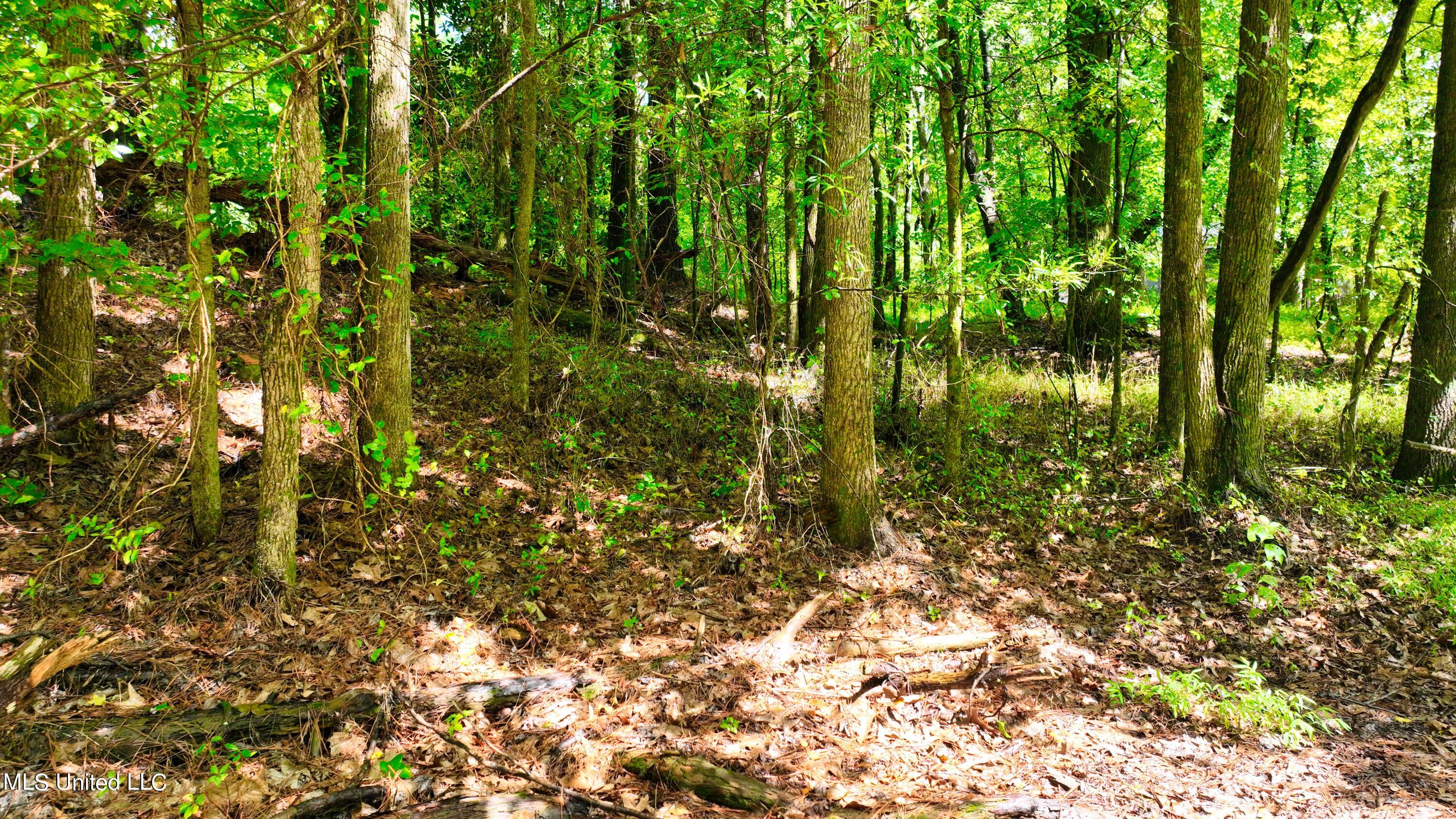 3900 Holly Grove Road Como, MS 38619 - Photo 40 of 61 DJI_0056