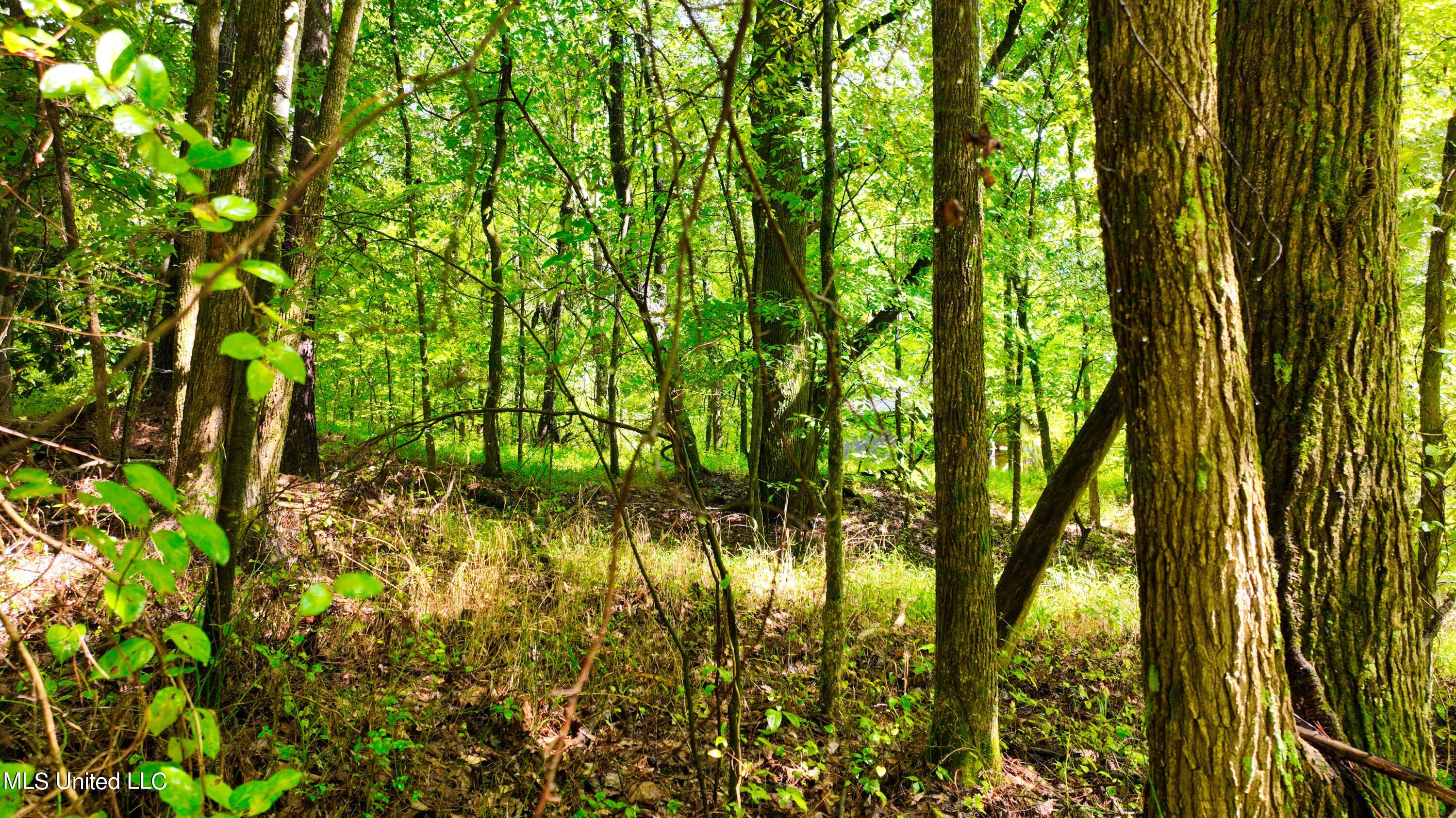 3900 Holly Grove Road Como, MS 38619 - Photo 45 of 61 DJI_0061