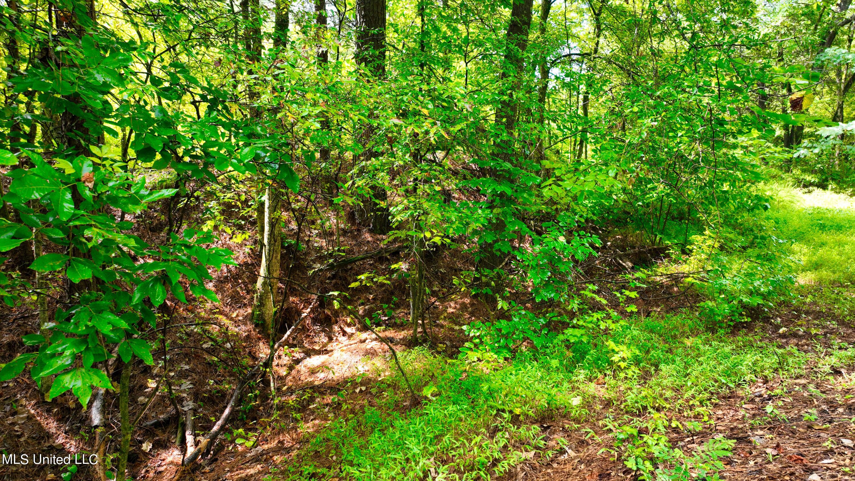 3900 Holly Grove Road Como, MS 38619 - Photo 54 of 61 DJI_0070