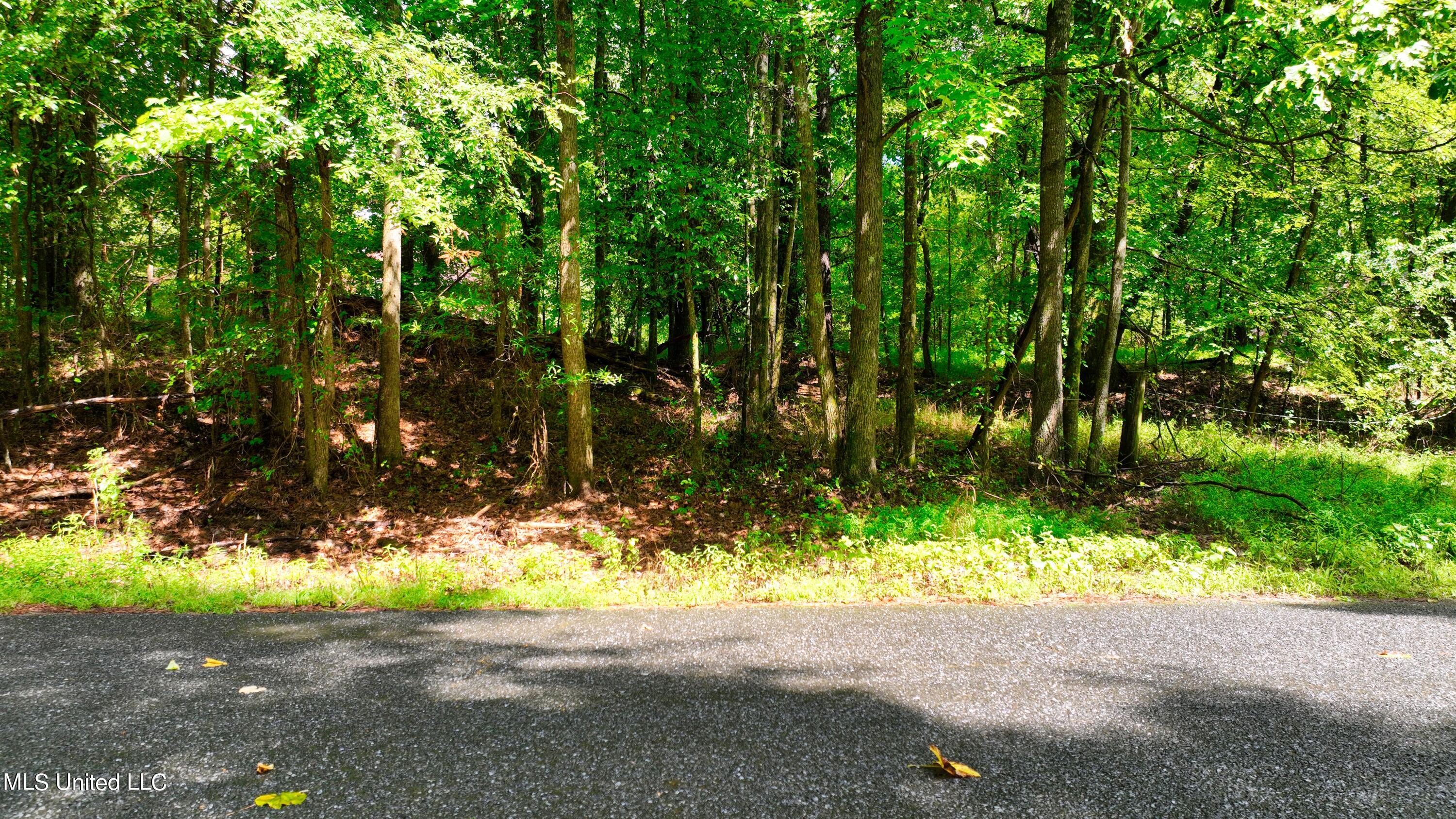 3900 Holly Grove Road Como, MS 38619 - Photo 56 of 61 DJI_0072