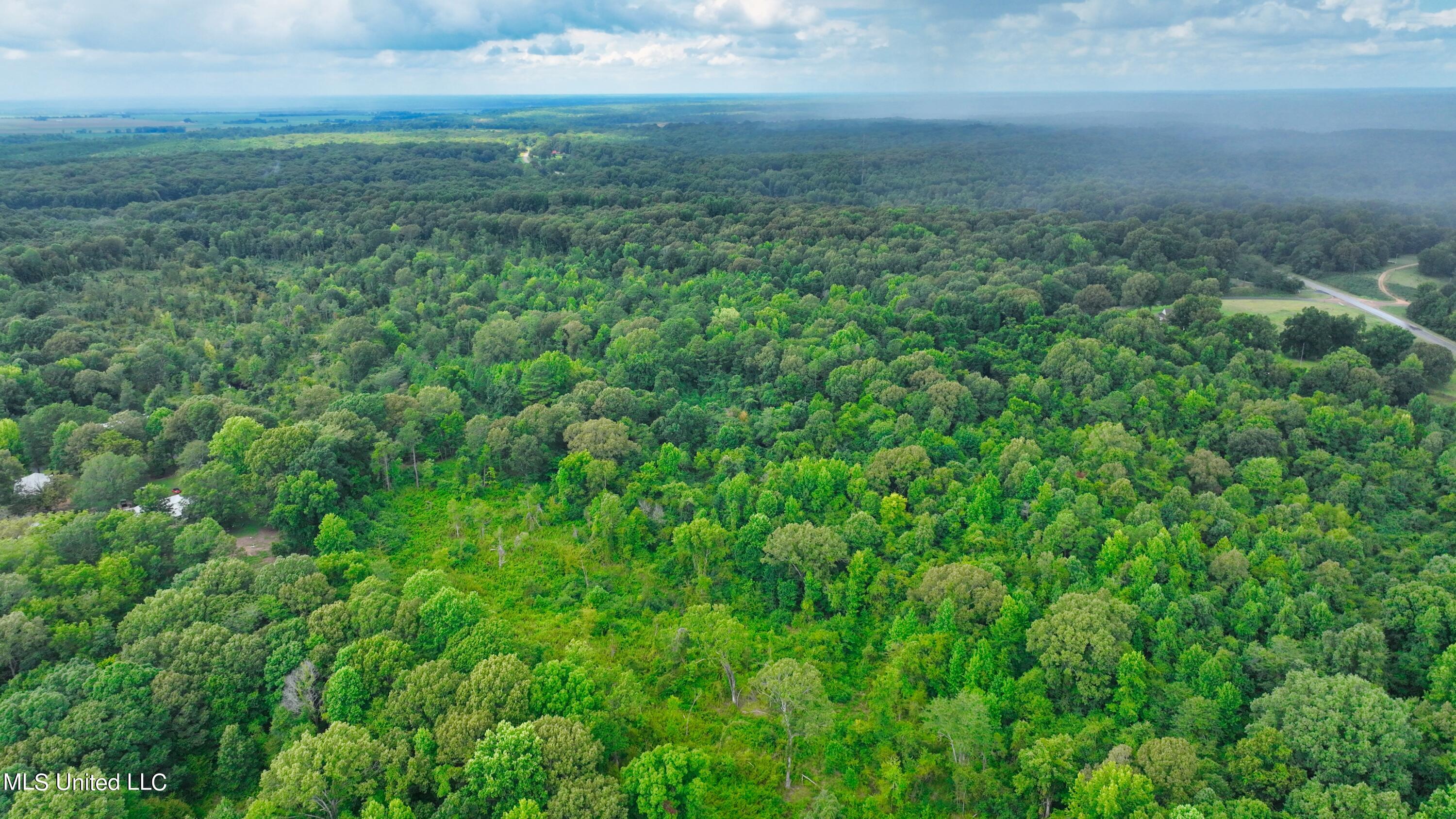 3900 Holly Grove Road Como, MS 38619 - Photo 8 of 61 DJI_0024
