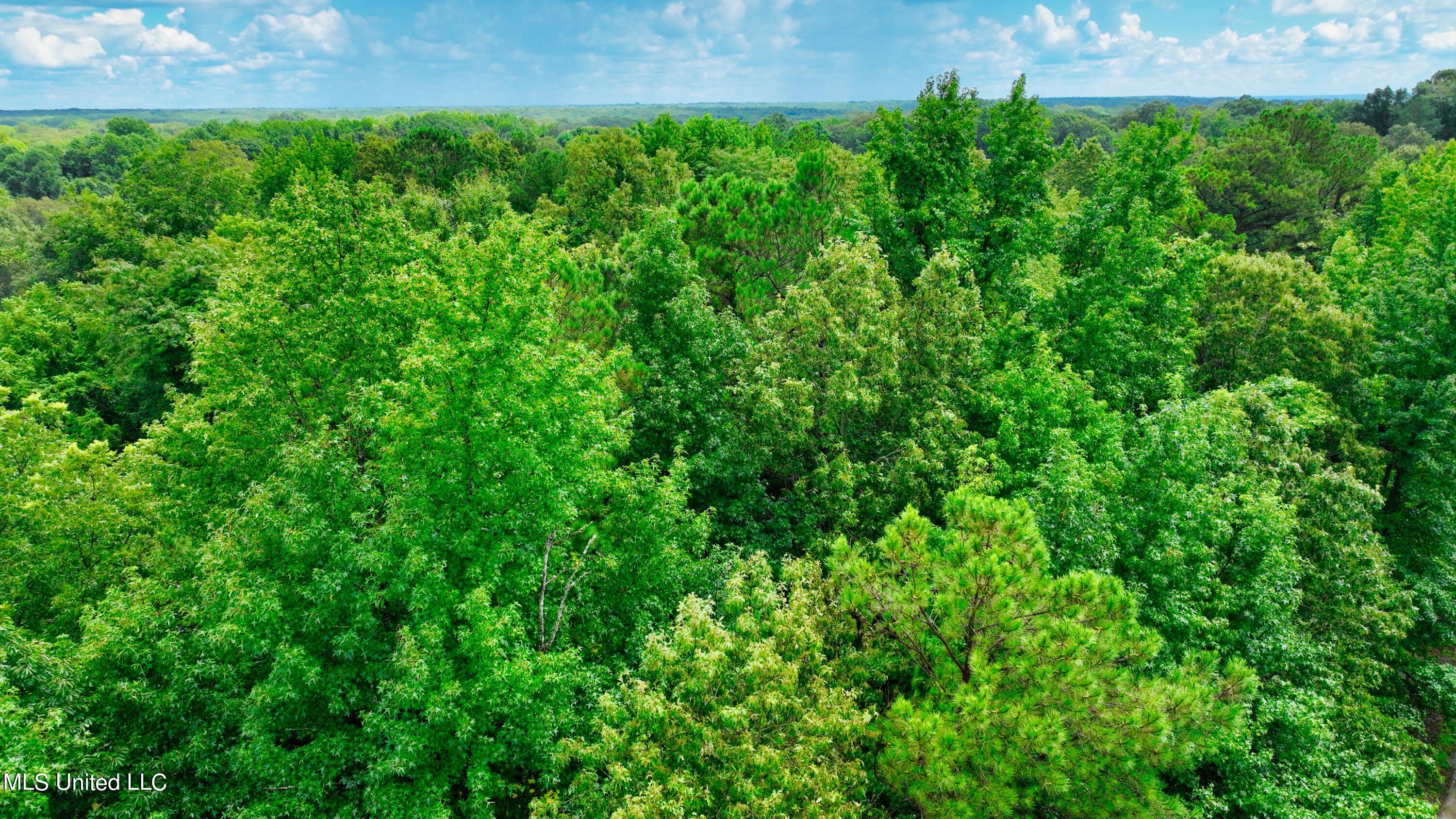3900 Holly Grove Road Como, MS 38619 - Photo 9 of 61 DJI_0025