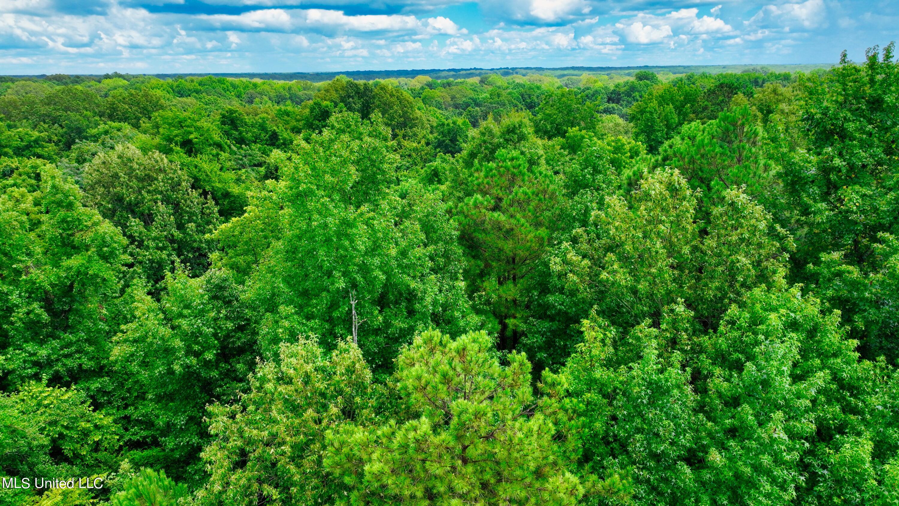 3900 Holly Grove Road Como, MS 38619 - Photo 10 of 61 DJI_0026