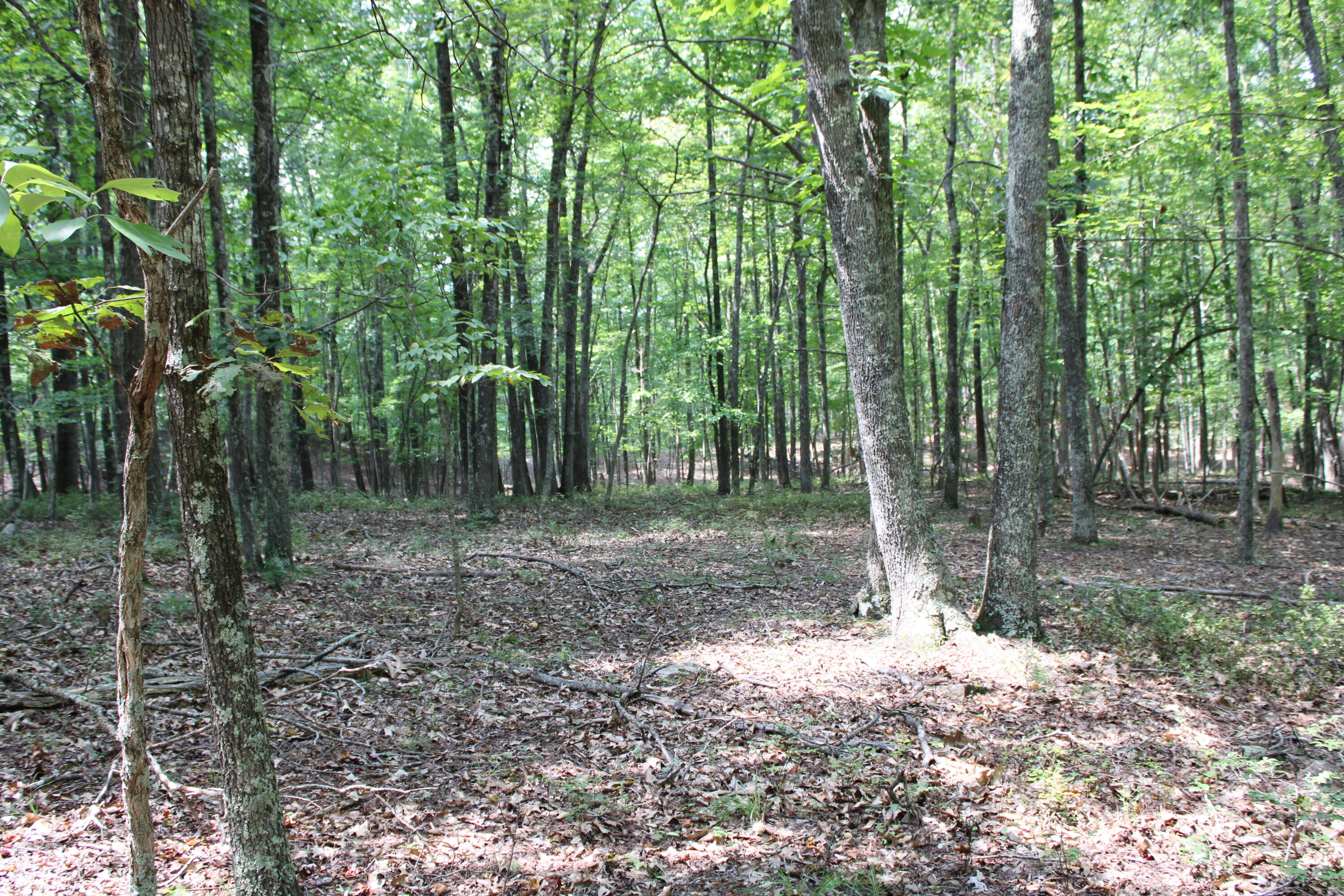 2816 Johns Creek Road New Castle, VA 24127 - Photo 57 of 96 IMG_0090