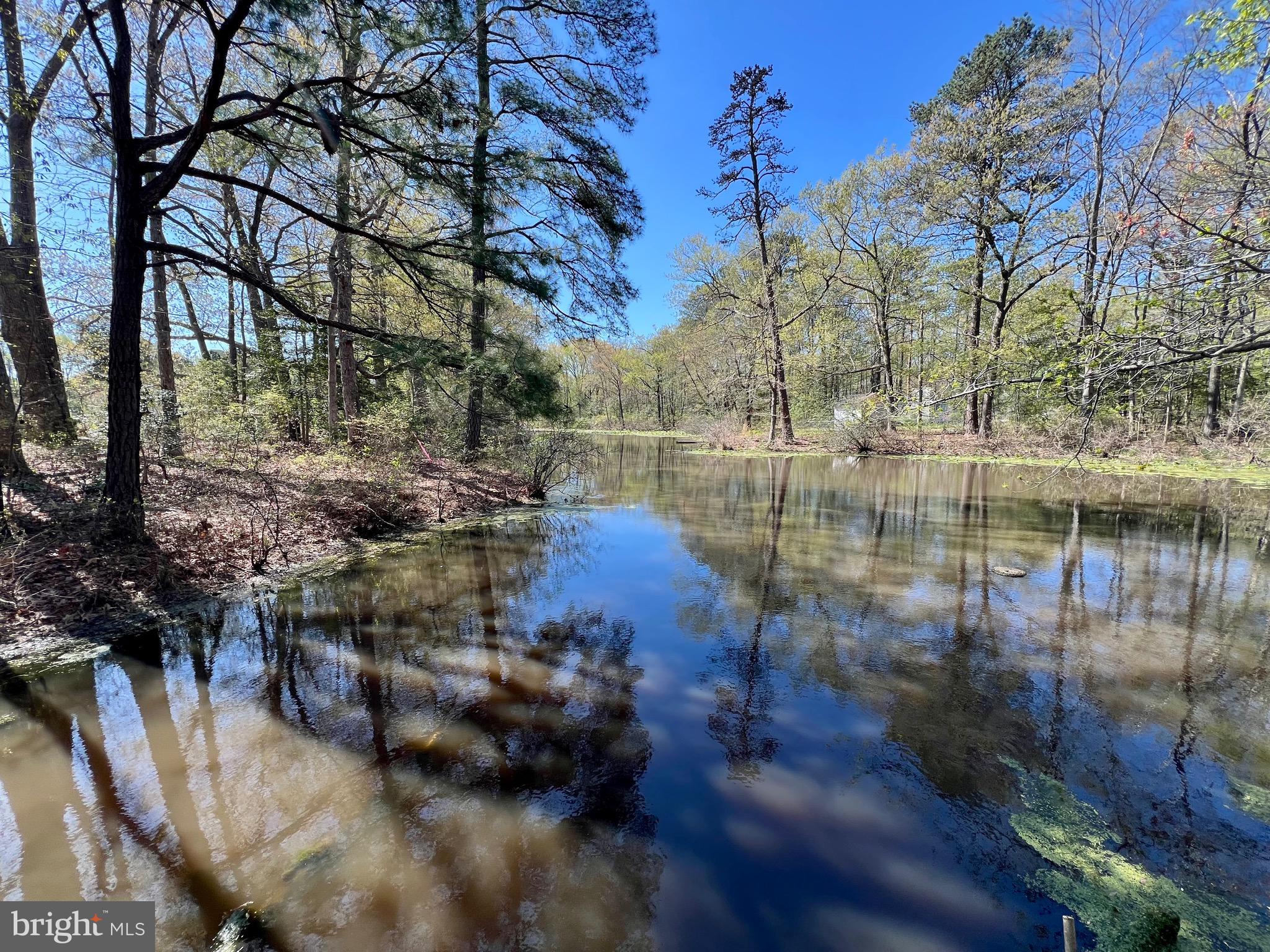 219 Holly Way Colonial Beach, VA 22443 - Photo 15 of 68 Lake Petite