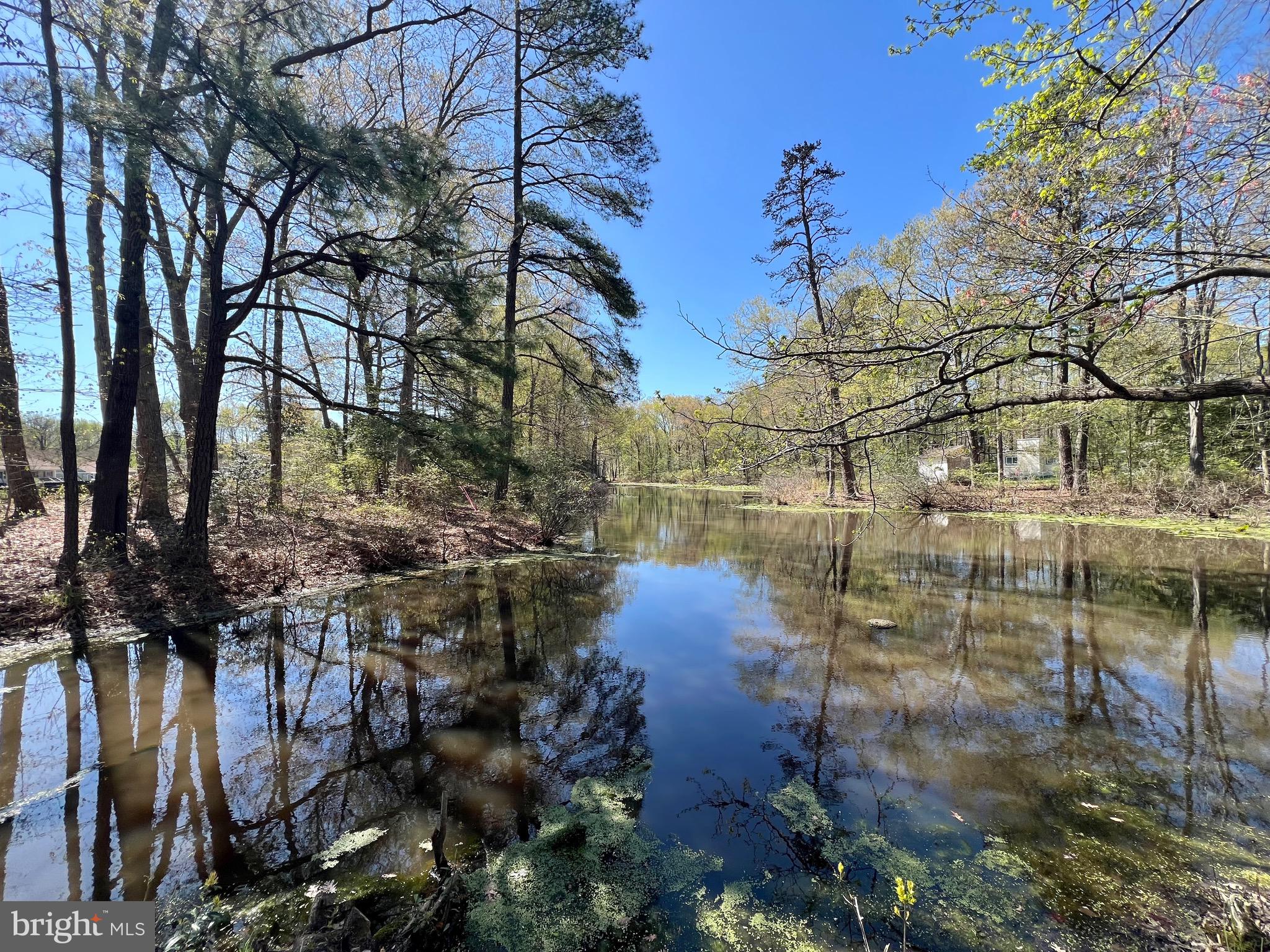 219 Holly Way Colonial Beach, VA 22443 - Photo 17 of 68 Water Front on Lake Petite