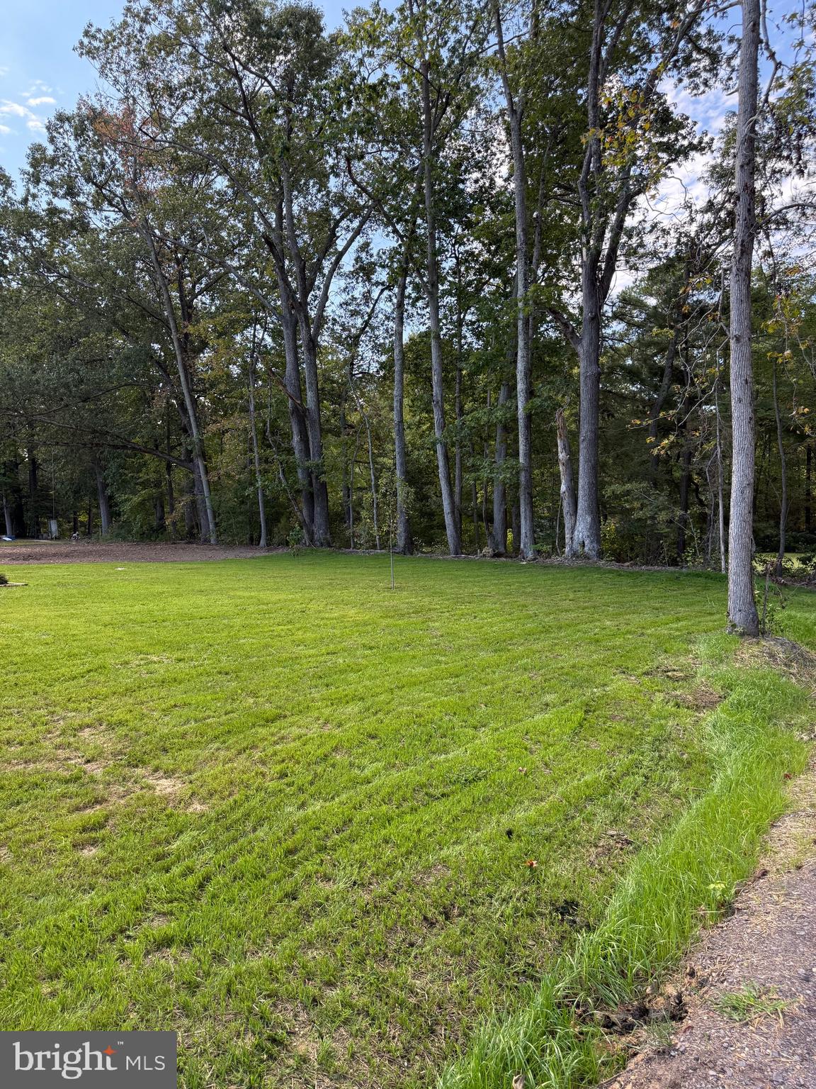 219 Holly Way Colonial Beach, VA 22443 - Photo 4 of 68 a view of a field with trees in the background