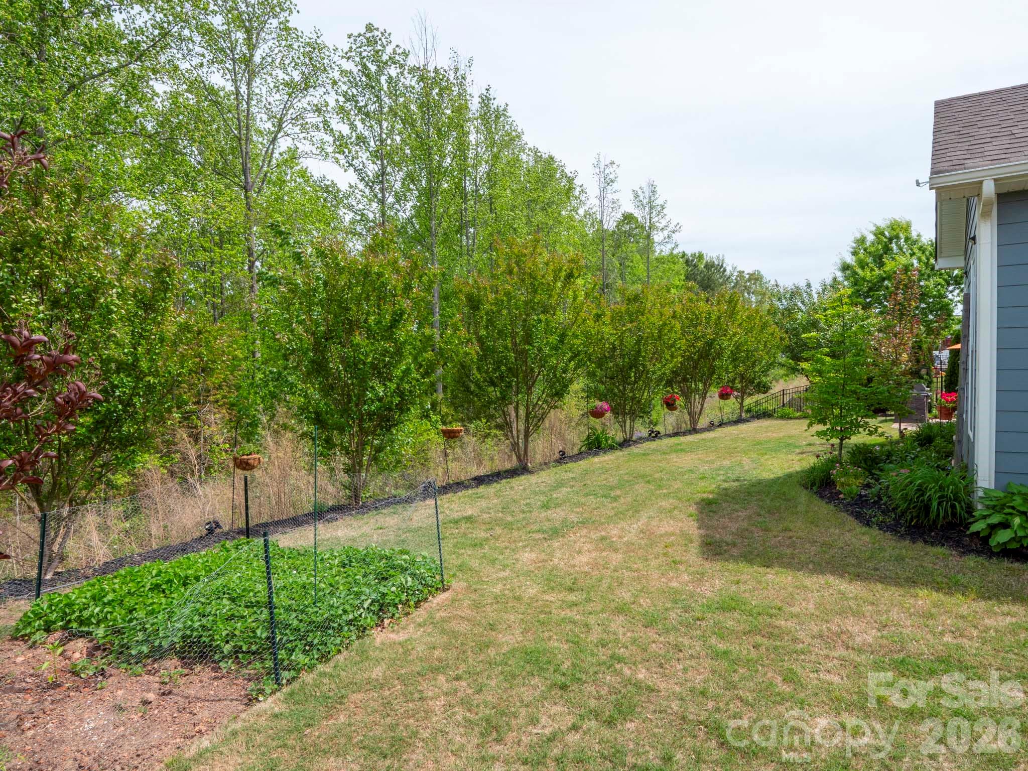 3036 Bridgewater Street Lancaster, SC 29720 - Photo 27 of 41 a view of a field with plants and trees