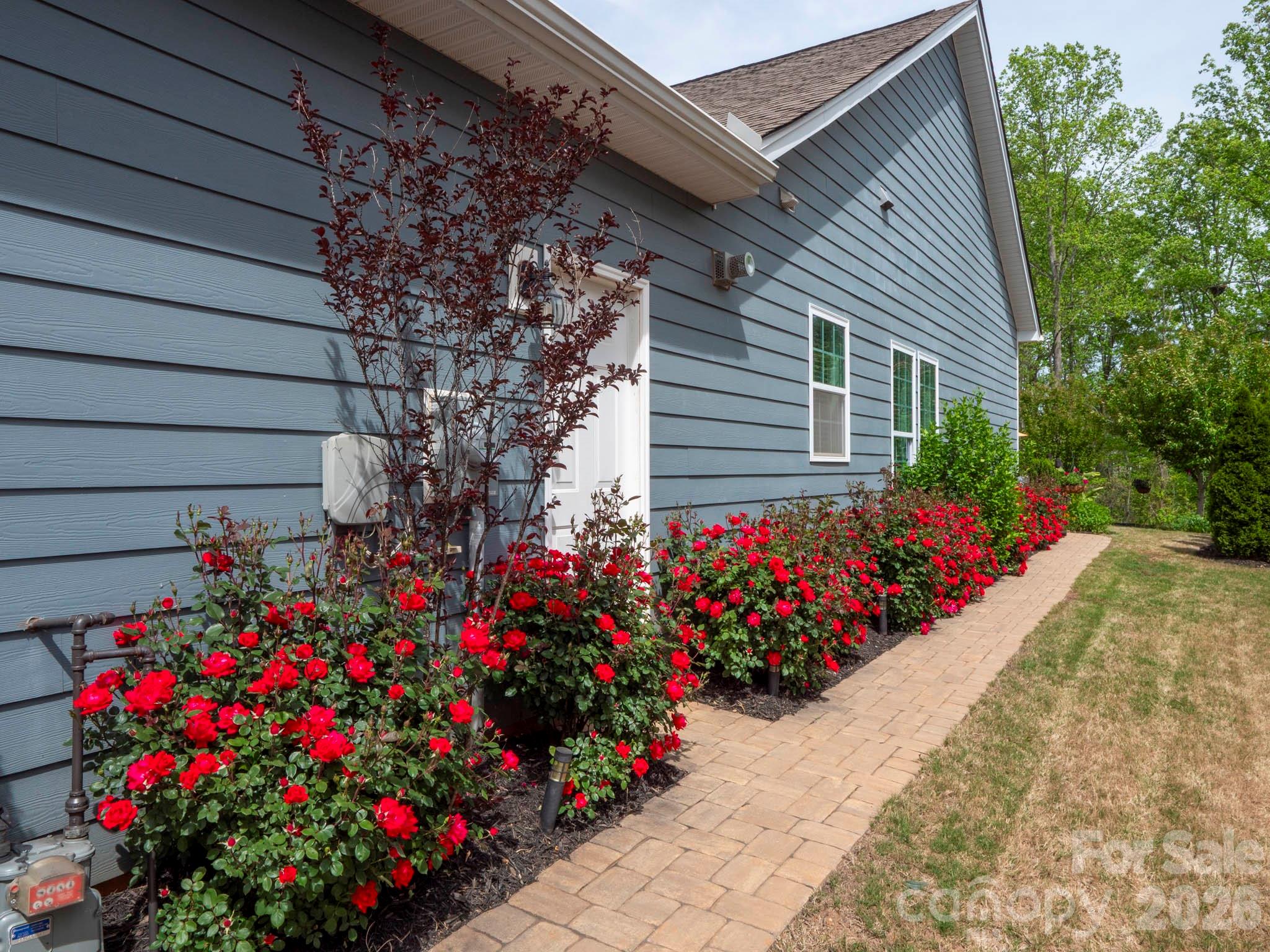 3036 Bridgewater Street Lancaster, SC 29720 - Photo 34 of 41 a flower garden and flowers in front of yellow house
