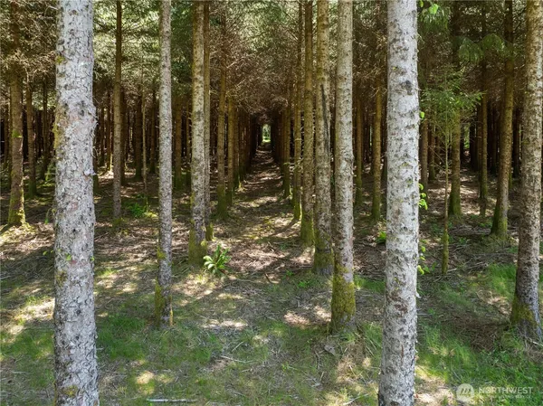 $3,650,000 | Undisclosed Address, Forks, WA 98331