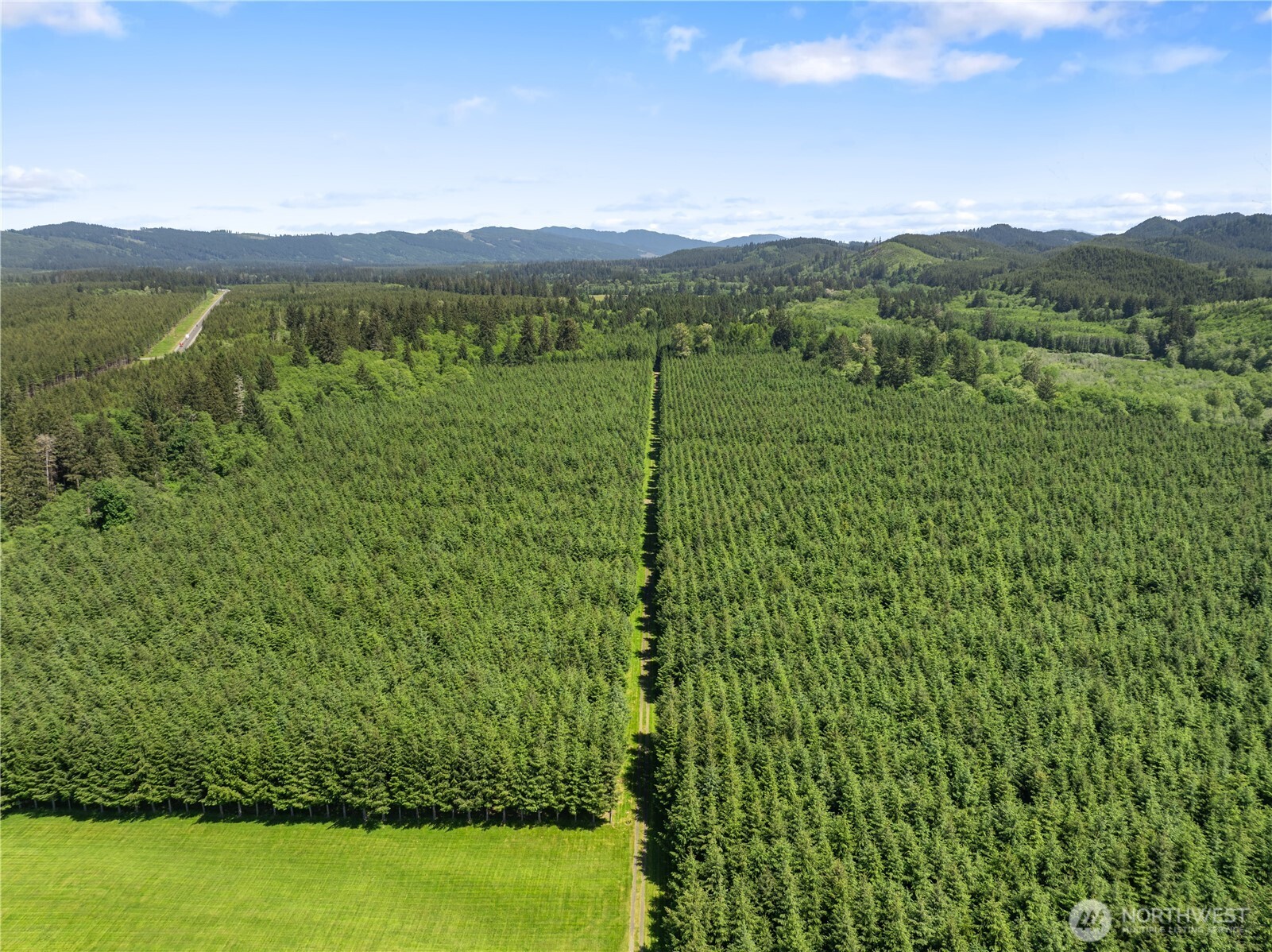 Undisclosed Address Forks, WA 98331 - Photo 10 of 40 a view of a green field with lots of bushes