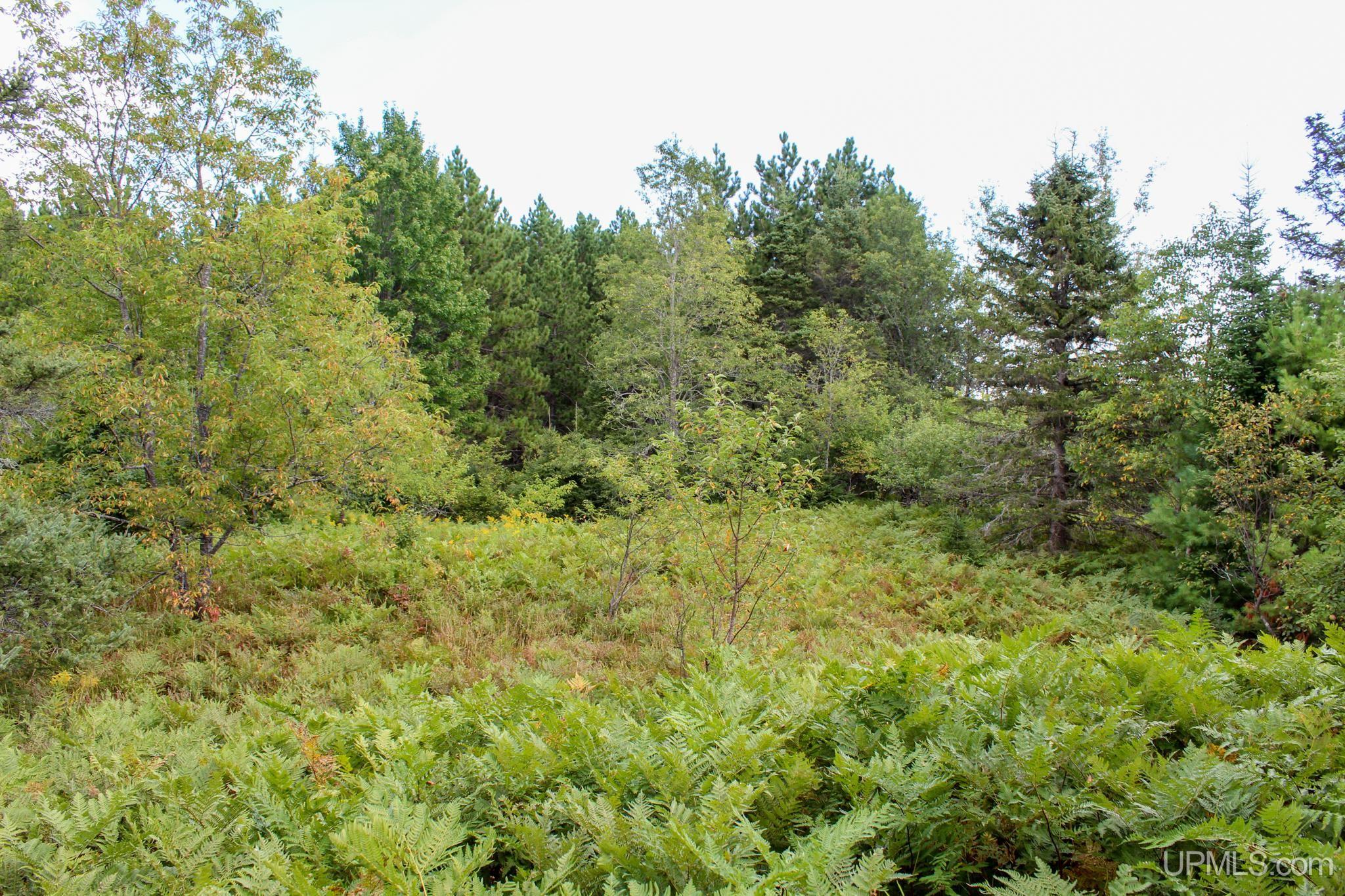 Tbd Michaelson Road Pelkie, MI 49958 - Photo 54 of 73 Gallery Image 54