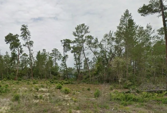 $55,000 | Tbd Southwest 30th Avenue Road, Ocala, FL 34473