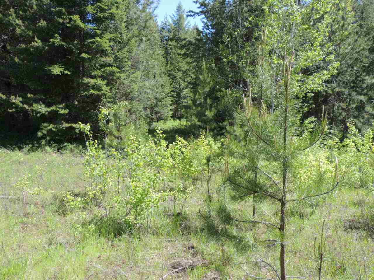 3-xx2 West Jump Off Joe Road Valley, WA 99181 - Photo 1 of 4