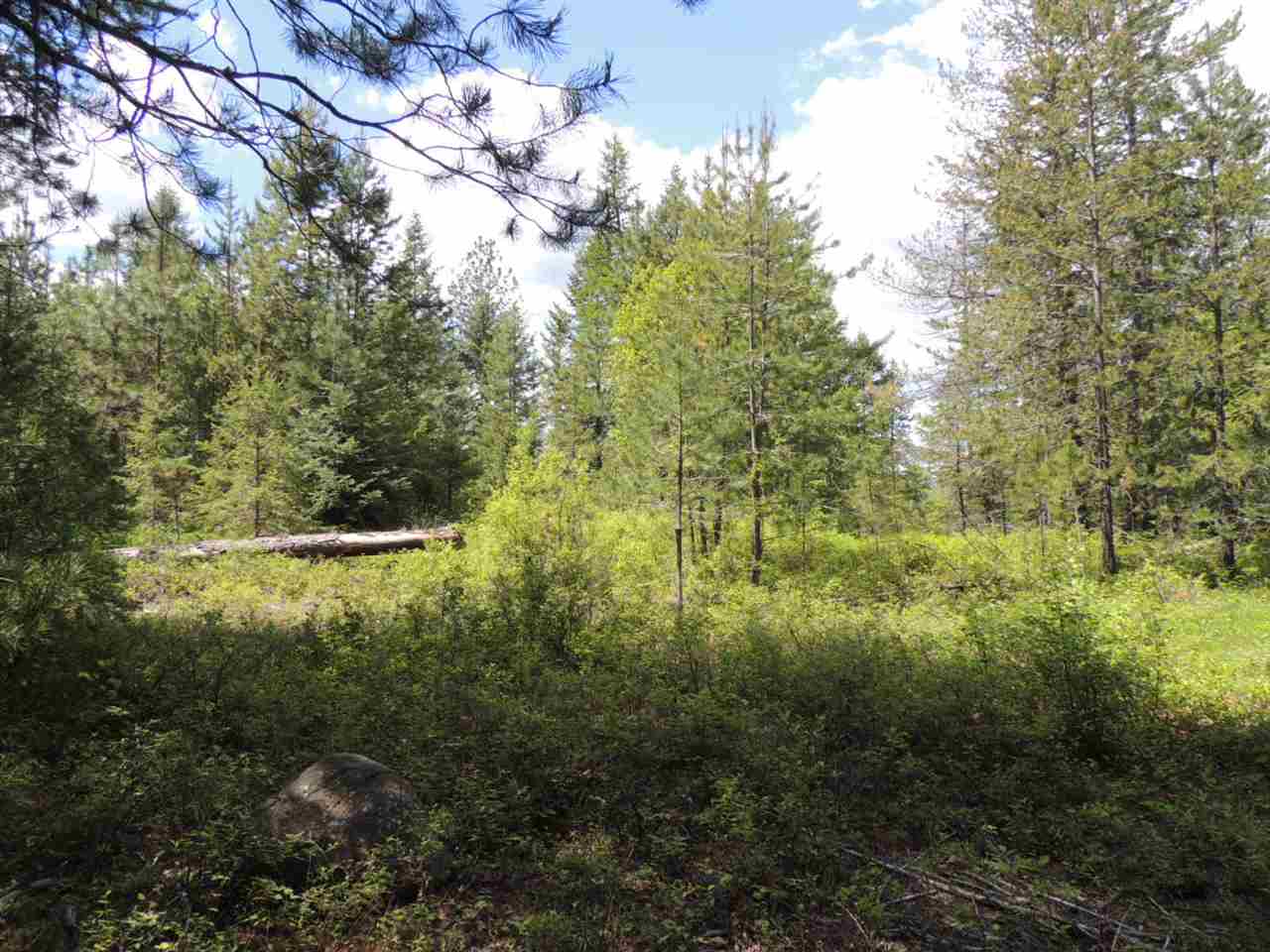 3-xx2 West Jump Off Joe Road Valley, WA 99181 - Photo 4 of 4