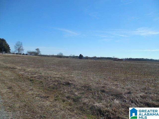 0 Curry Station Road, Unit 1 Munford, AL 36268 - Photo 5 of 14