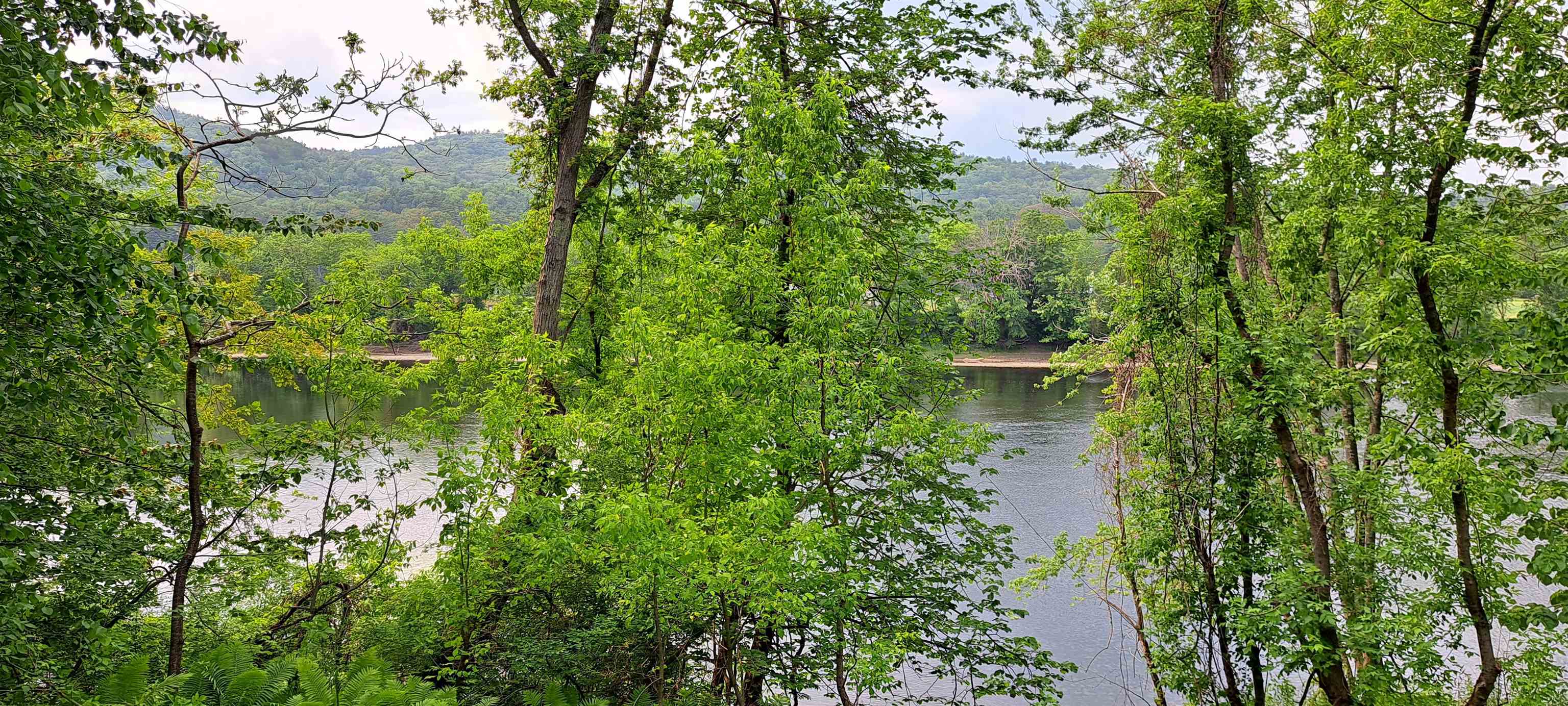 169 River Road Plainfield, NH 03781 - Photo 34 of 36