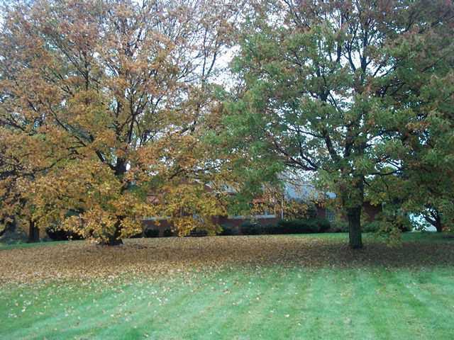 849 Biddle Road Galion, OH 44833 - Photo 1 of 7 Gallery Image 1