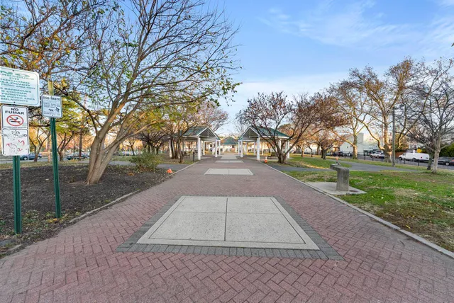 a street view with large trees