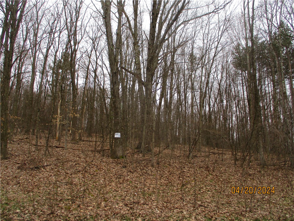 3 Dodd Road Windsor, NY 13865 - Photo 1 of 1