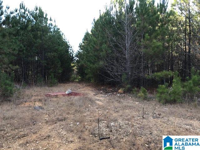 0 2nd Street South, Unit 21 / ACRES Oneonta, AL 35121 - Photo 4 of 4