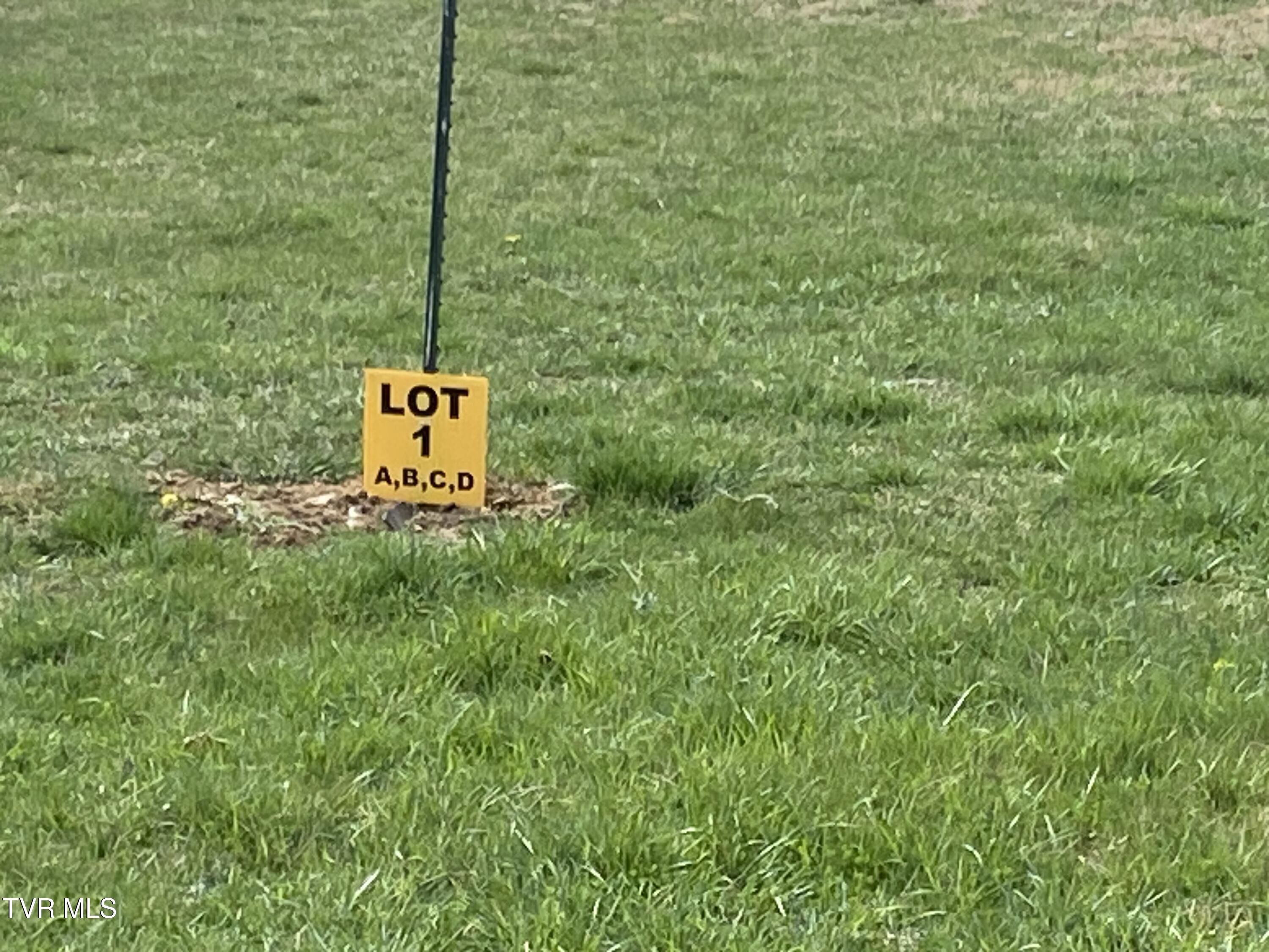 1 Riley Street, Unit 1 A B C D Lebanon, VA 24266 - Photo 2 of 4 IMG_3347