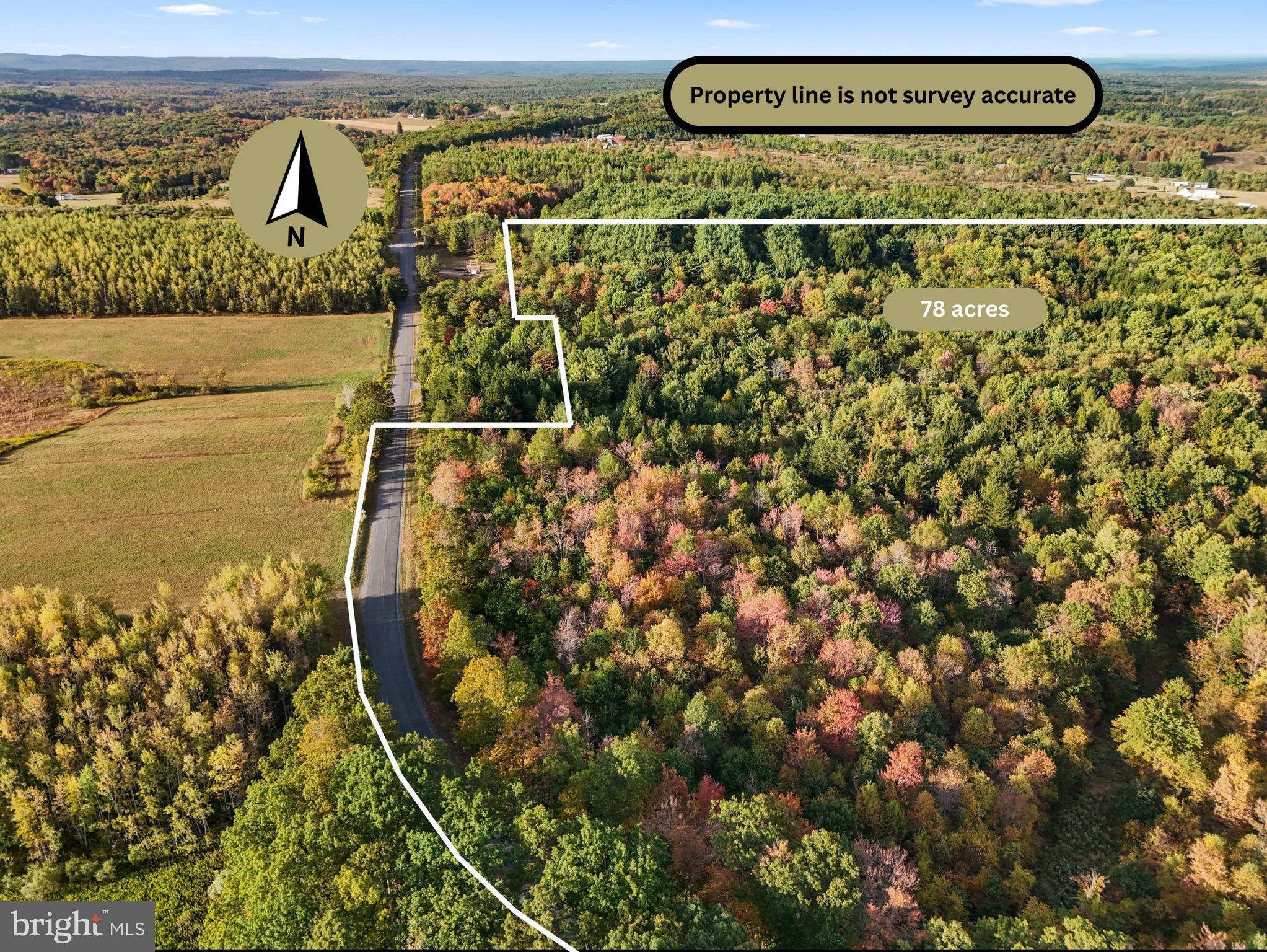 0 Wallaceton Road Morrisdale, PA 16858 - Photo 3 of 12