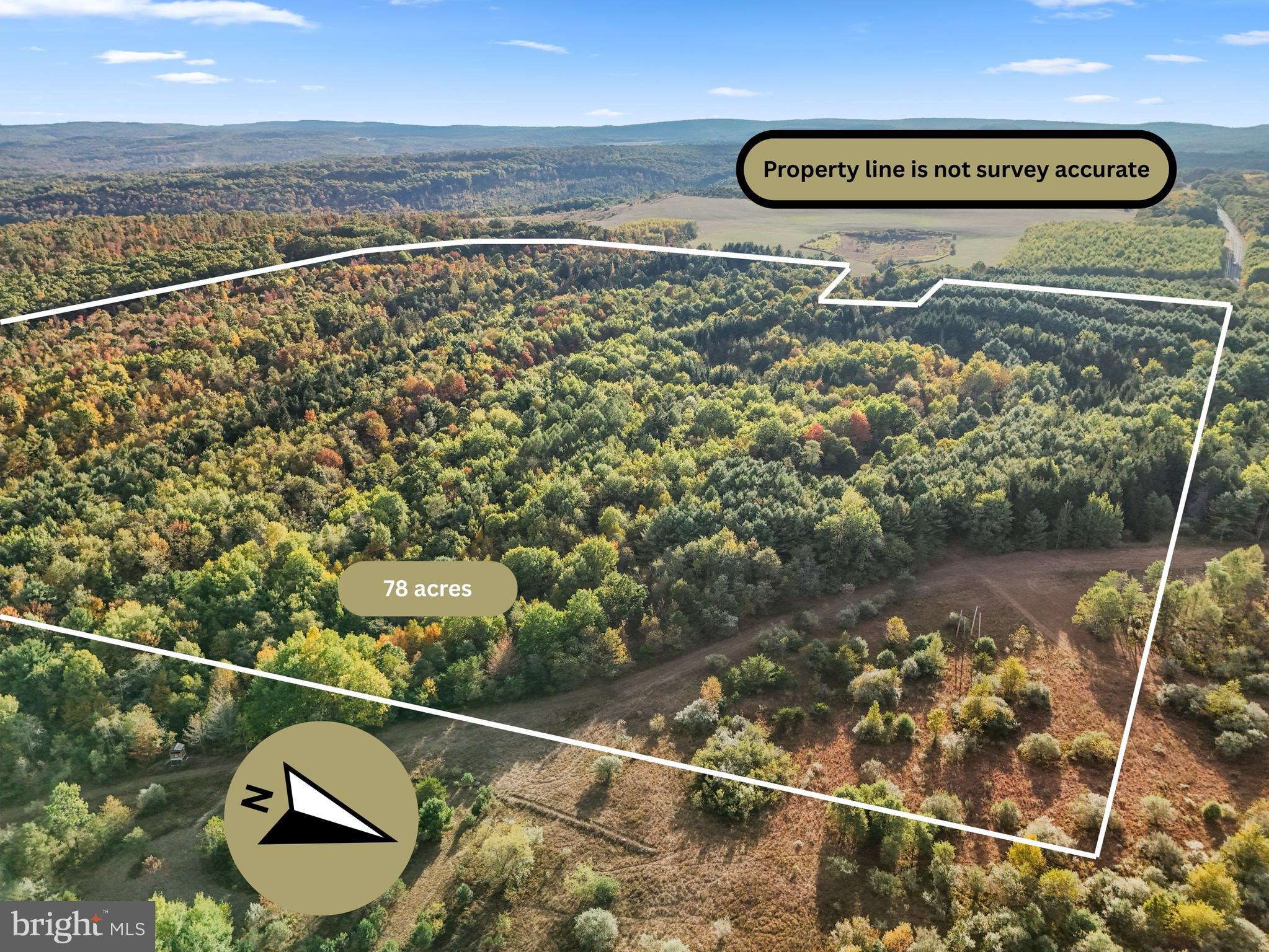 0 Wallaceton Road Morrisdale, PA 16858 - Photo 4 of 12