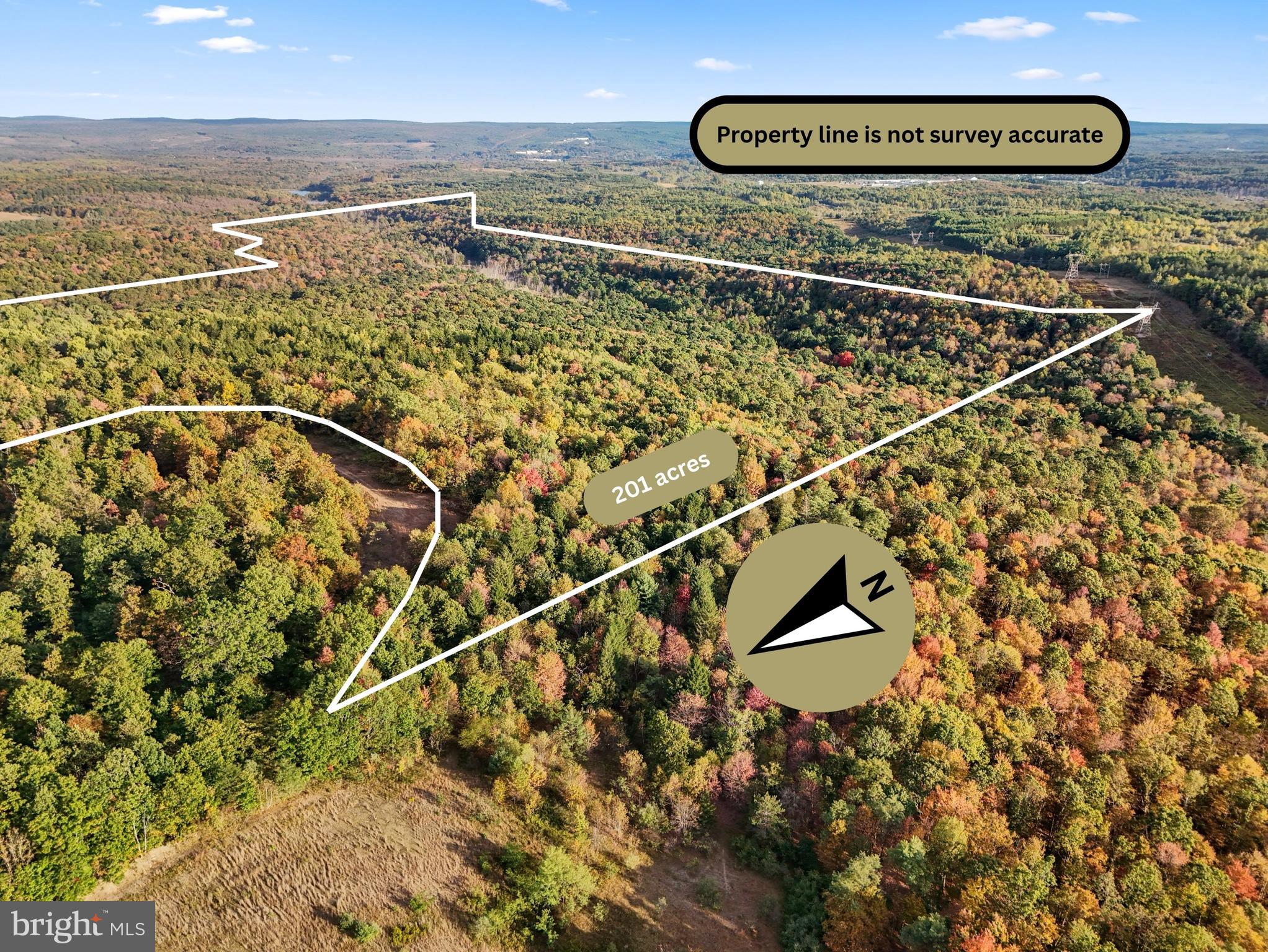 0 Wallaceton Road Morrisdale, PA 16858 - Photo 5 of 12