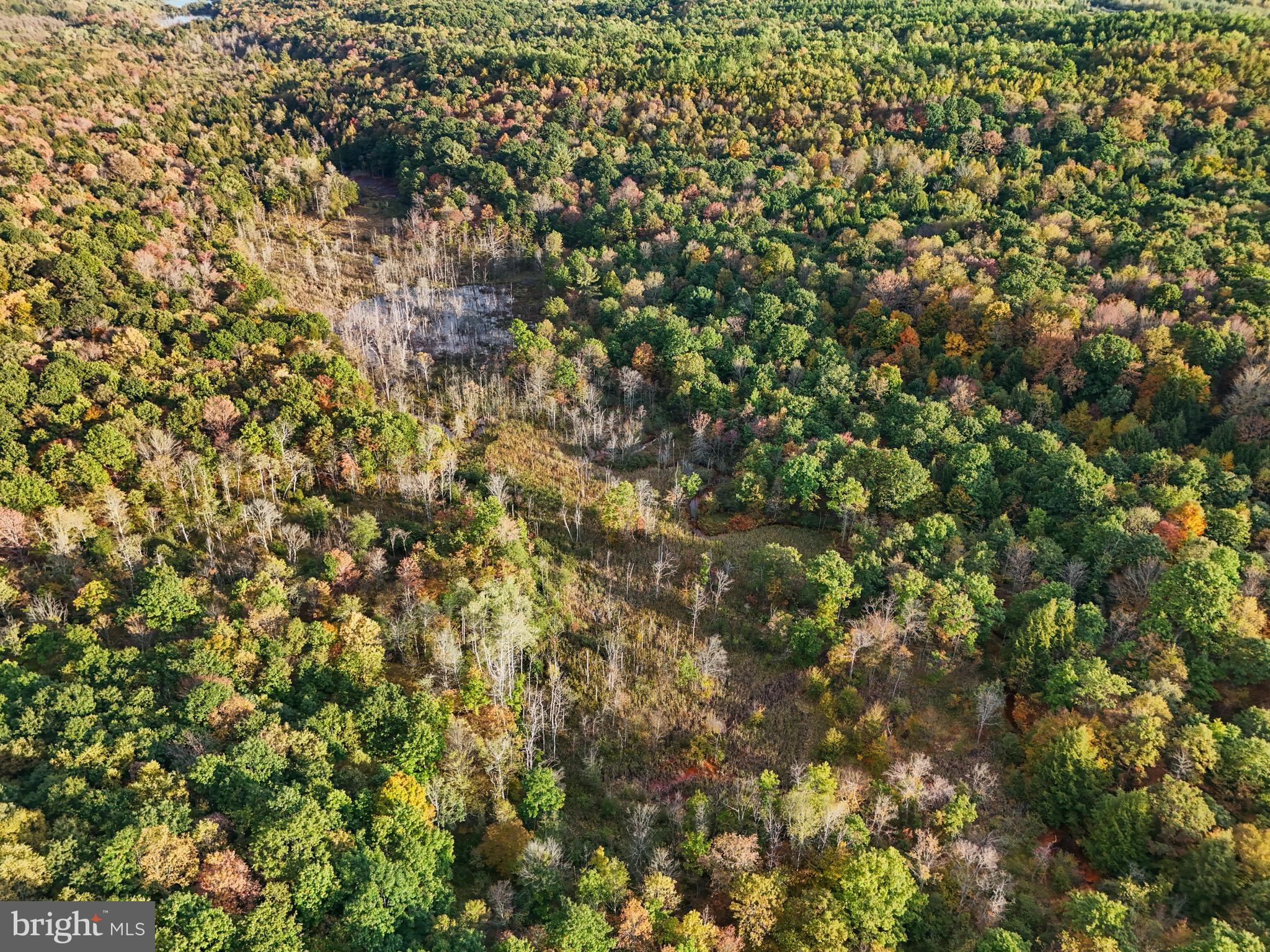 0 Wallaceton Road Morrisdale, PA 16858 - Photo 7 of 12