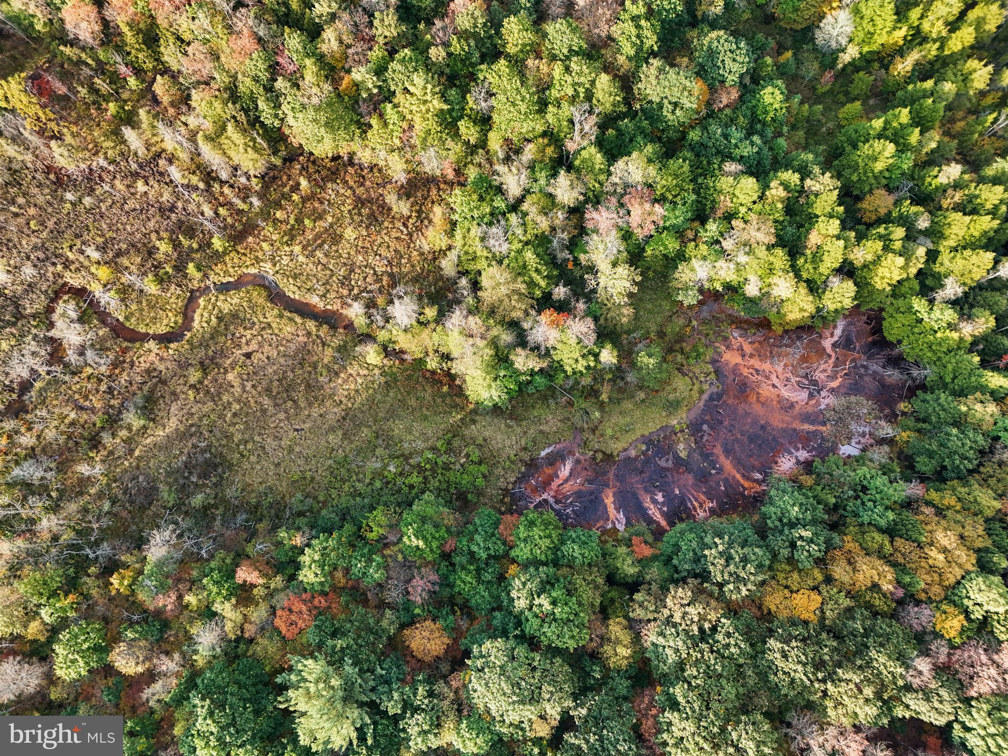 0 Wallaceton Road Morrisdale, PA 16858 - Photo 8 of 12