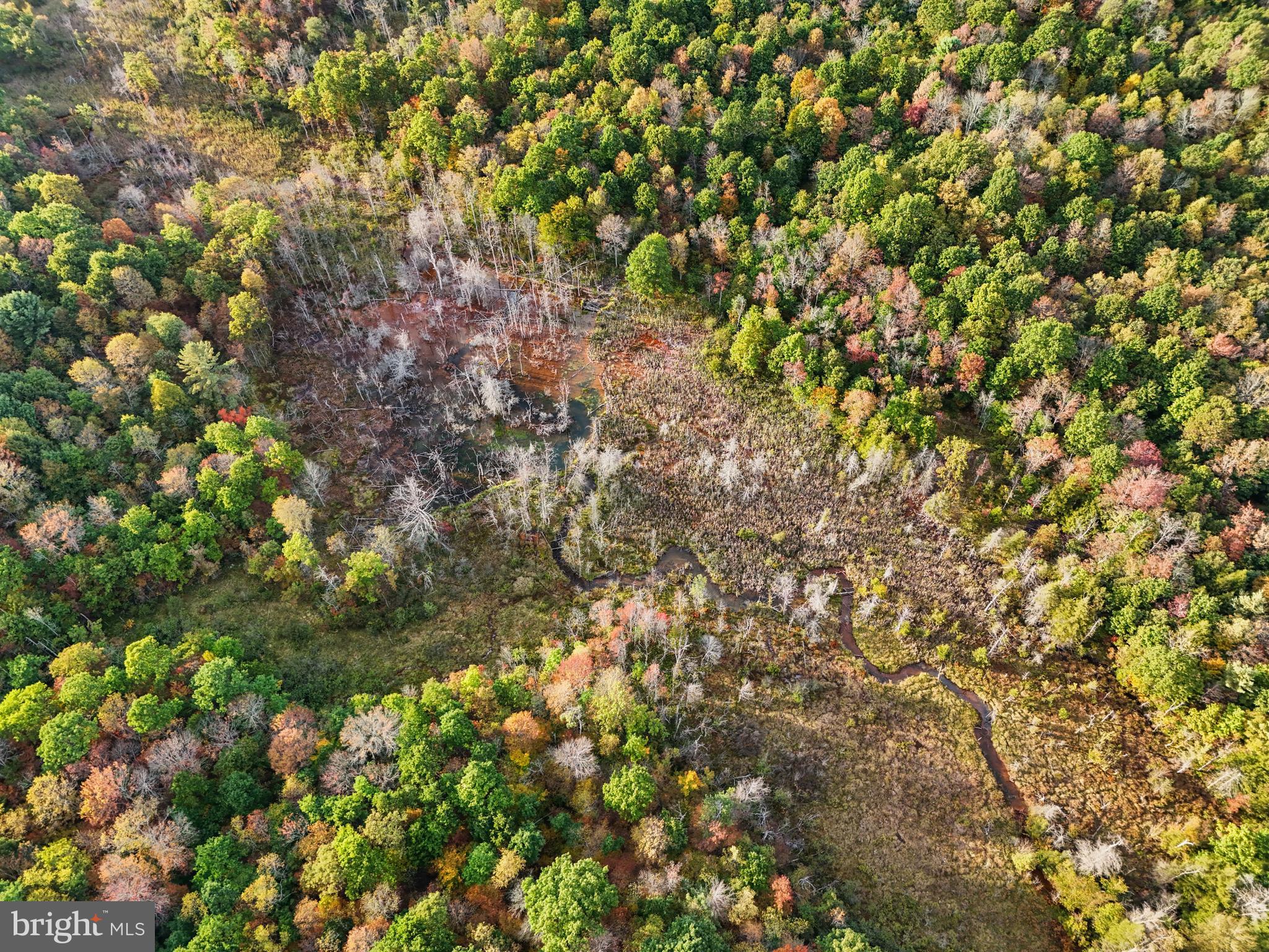 0 Wallaceton Road Morrisdale, PA 16858 - Photo 9 of 12