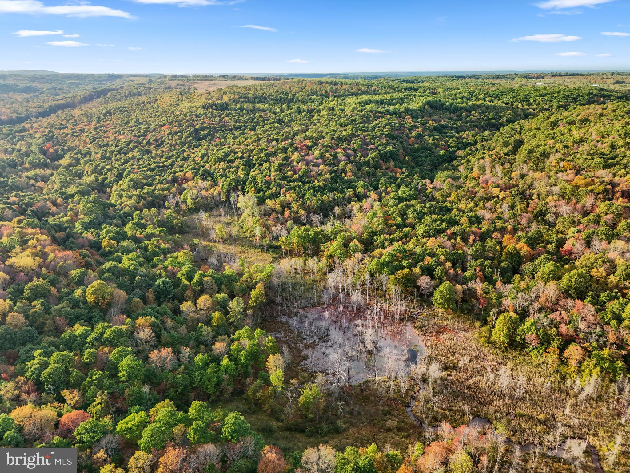 0 Wallaceton Road Morrisdale, PA 16858 - Photo 10 of 12