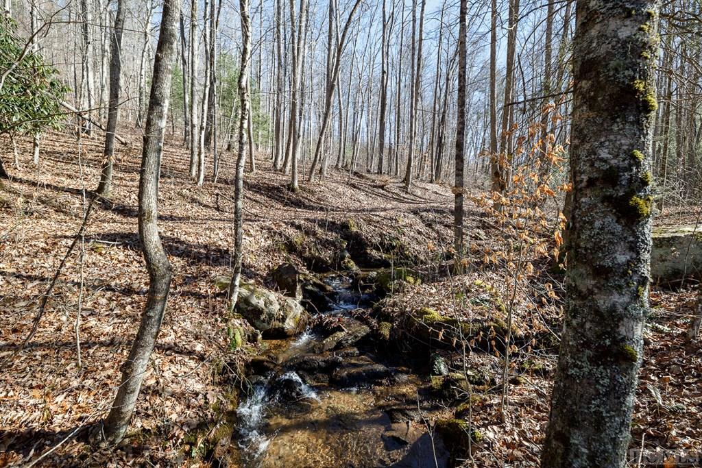 Lot 79 Pasture Road Maggie Valley, NC 28751 - Photo 1 of 15 Gallery Image 1