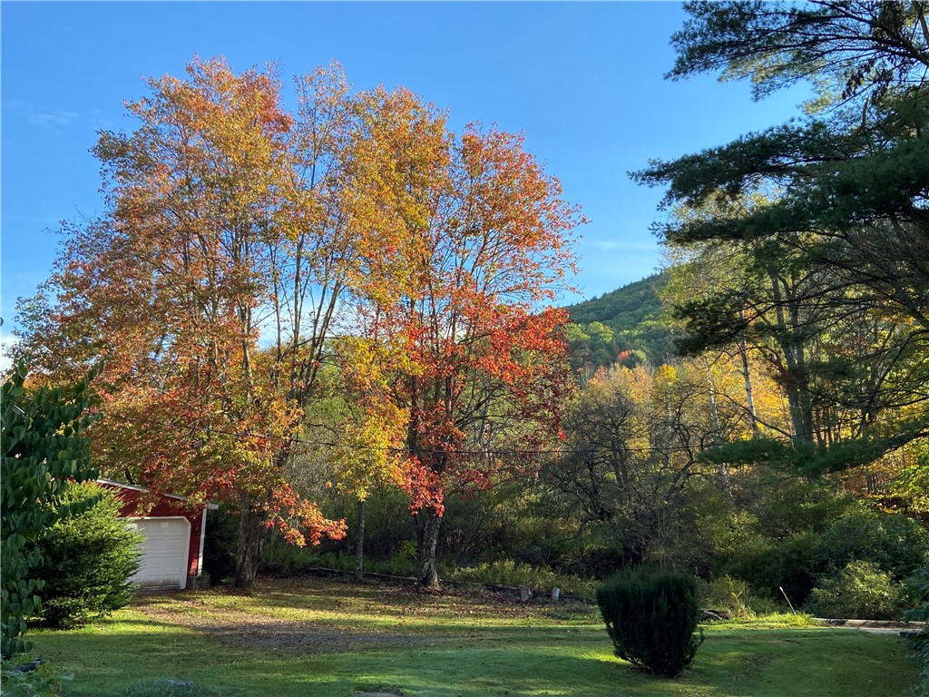 323 Gohan Road Maryland, NY 12155 - Photo 34 of 38