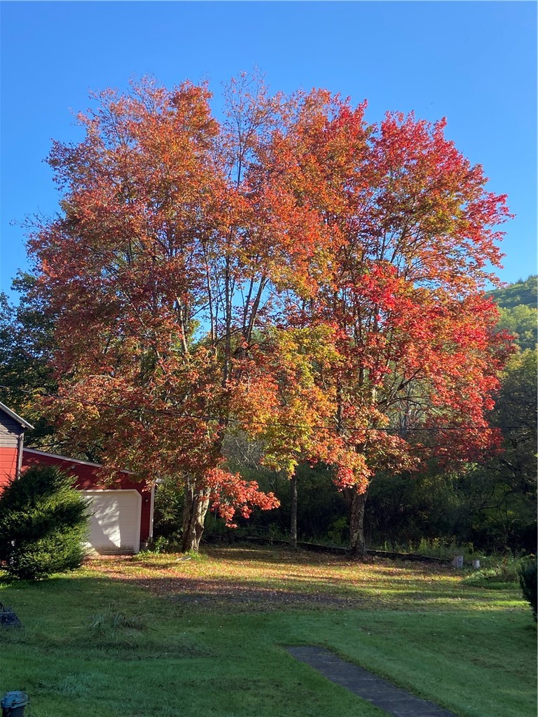 323 Gohan Road Maryland, NY 12155 - Photo 36 of 38