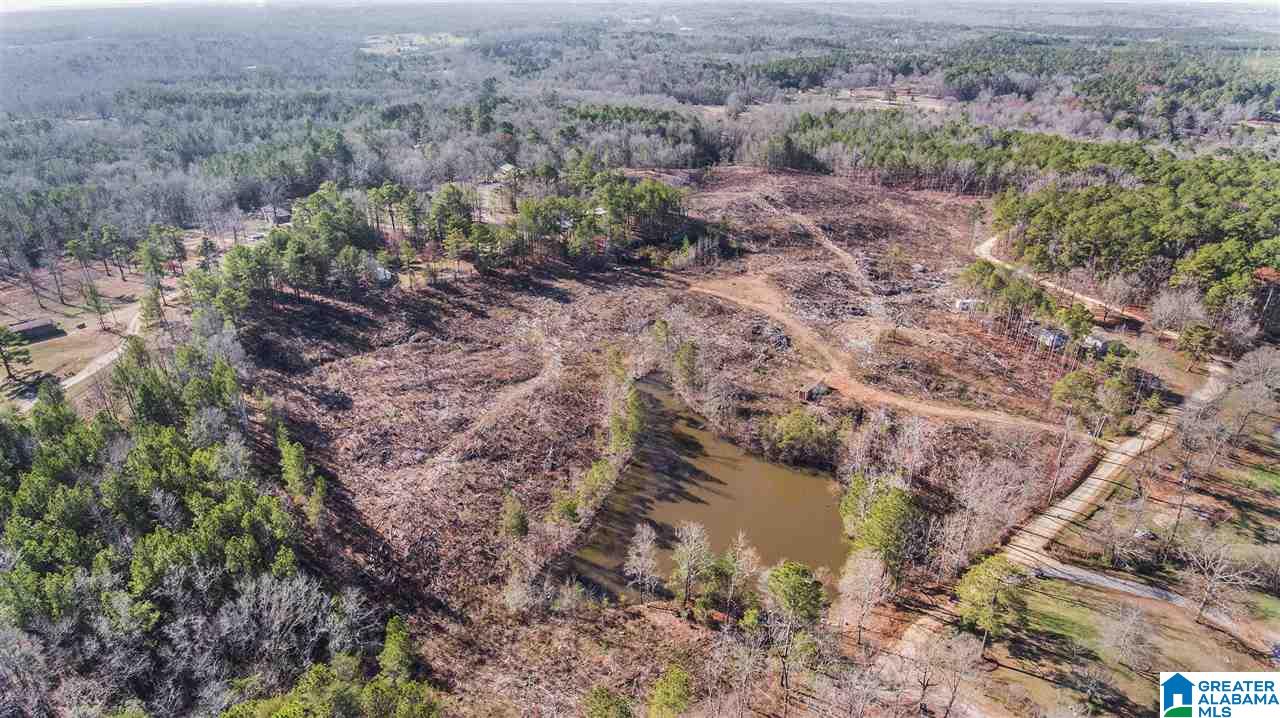 568 Yorkshire Road Columbiana, AL 35051 - Photo 2 of 7
