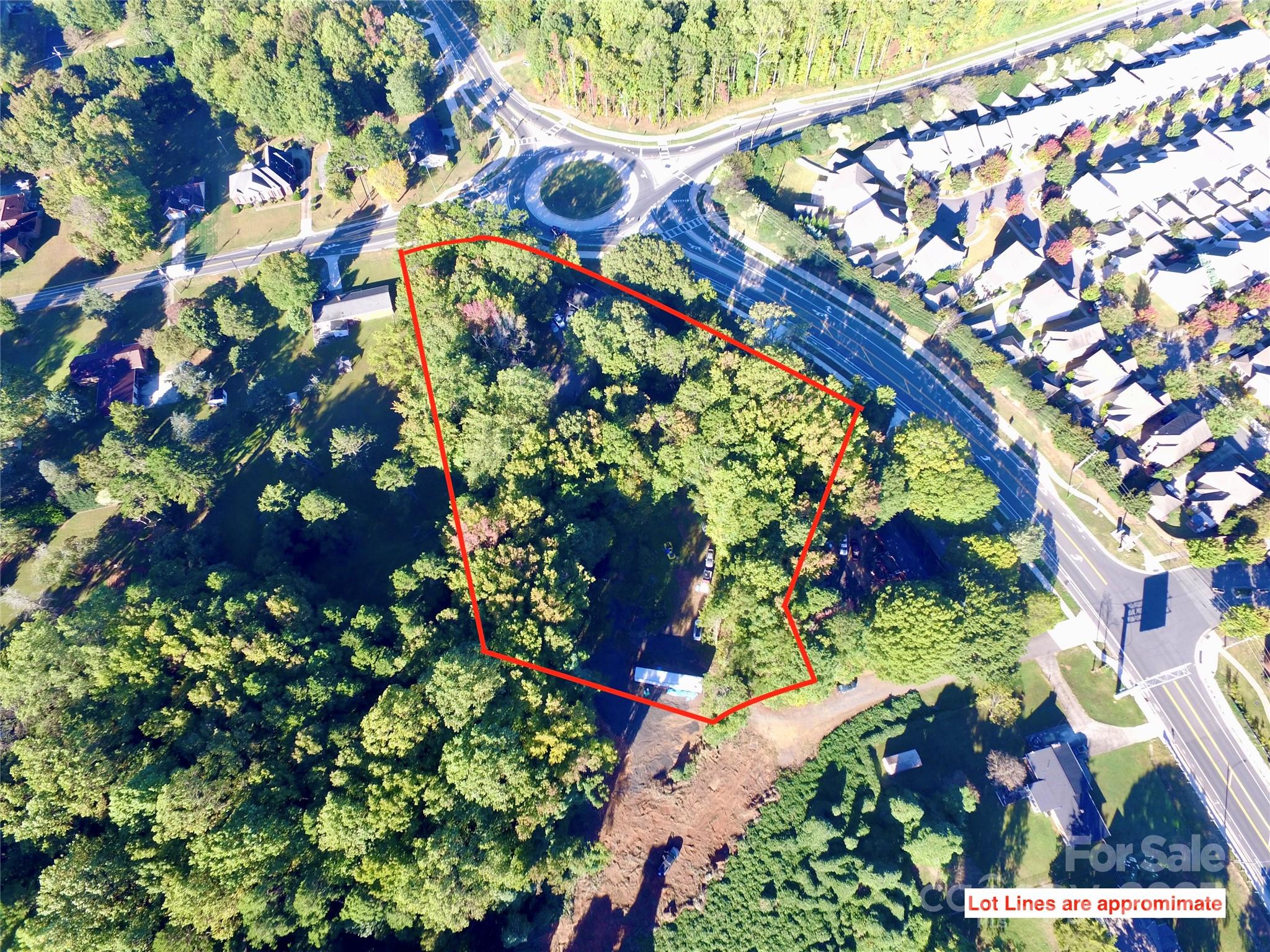 a picture of flowers