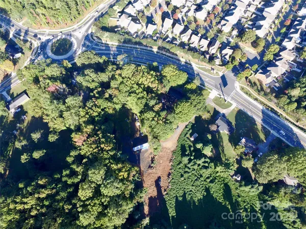 a picture of flowers