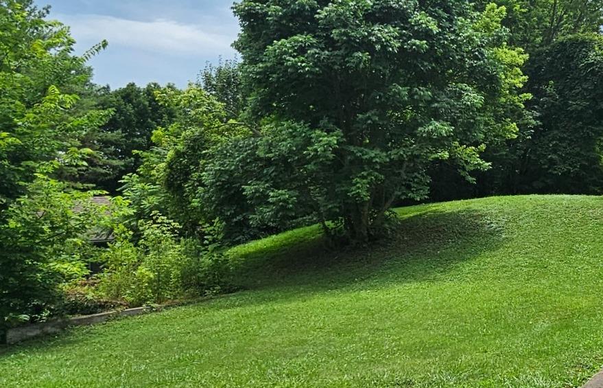 129 Spring Street Connersville, IN 47331 - Photo 3 of 11