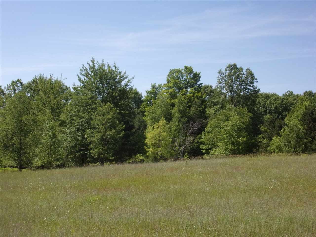 0 West Cutcheon Road Manton, MI 49663 - Photo 10 of 11 Gallery Image 10