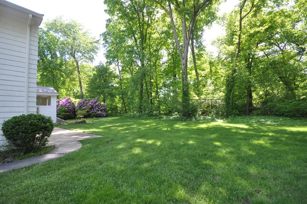 23 Peachtree Road Lexington, MA 02420 - Photo 26 of 30 a backyard of a house with lots of green space