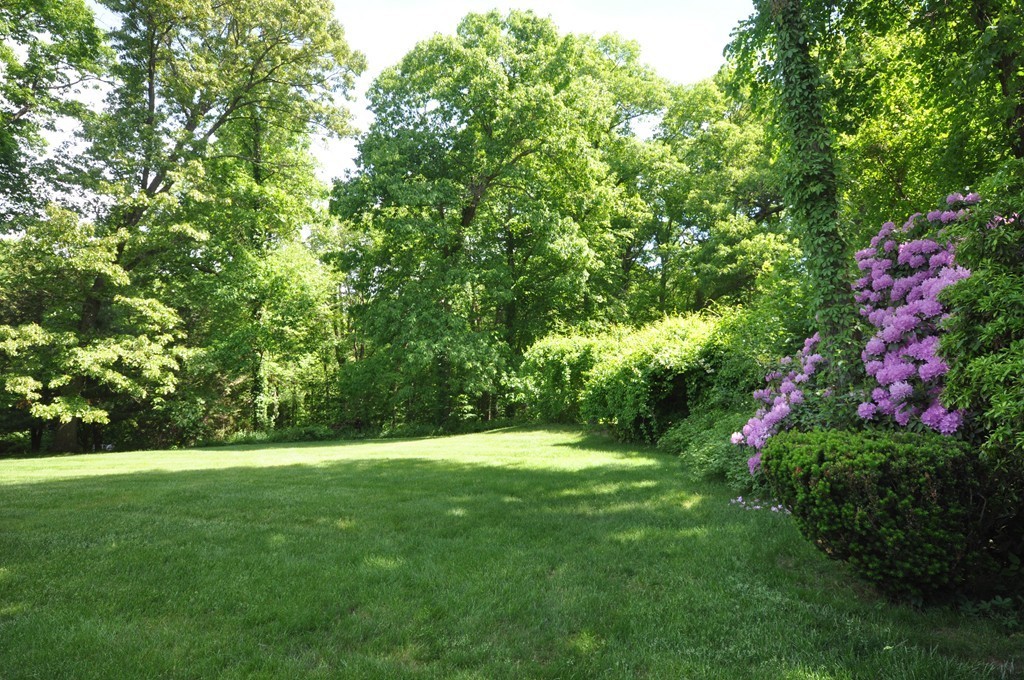 23 Peachtree Road Lexington, MA 02420 - Photo 27 of 30 a view of green field with trees in the background