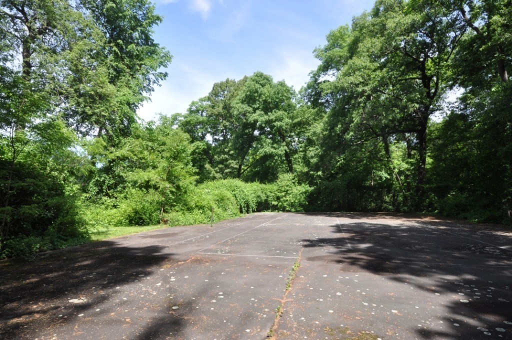 23 Peachtree Road Lexington, MA 02420 - Photo 29 of 30 a view of road with large trees