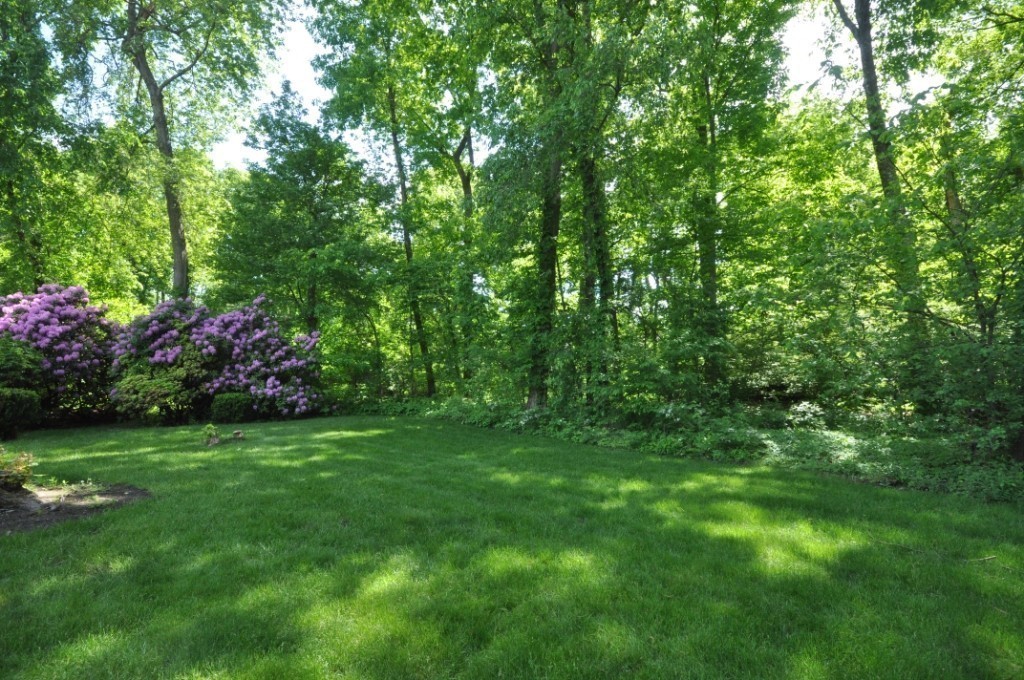 23 Peachtree Road Lexington, MA 02420 - Photo 30 of 30 a view of a garden