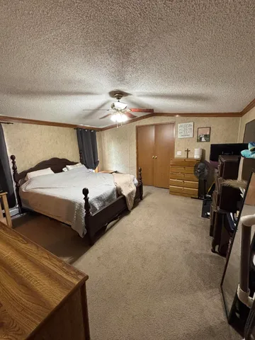 $215,000 | 22475 4 Mile Road, Morley, MI 49336