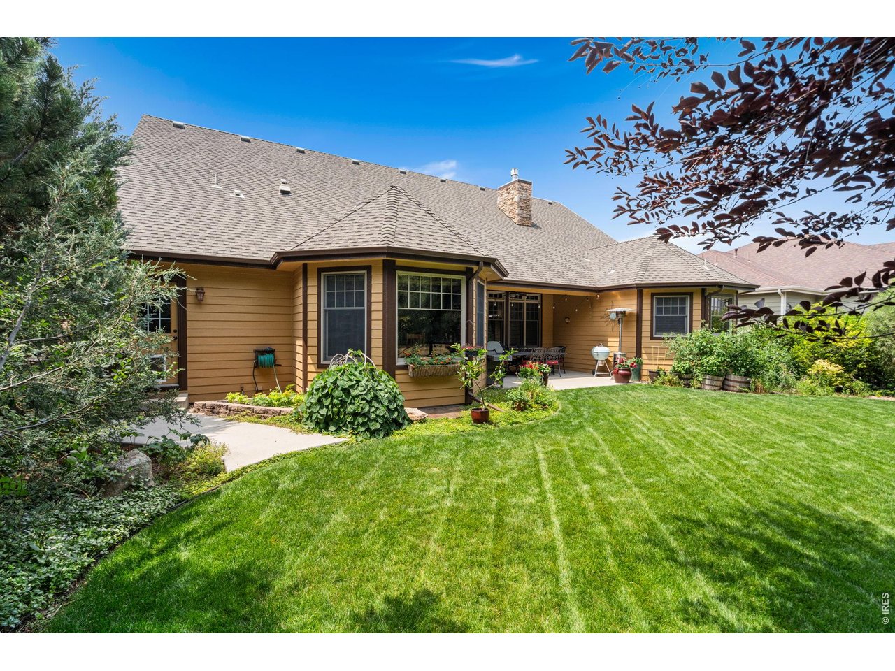 6854 Pumpkin Ridge Drive Windsor, CO 80550 - Photo 47 of 50